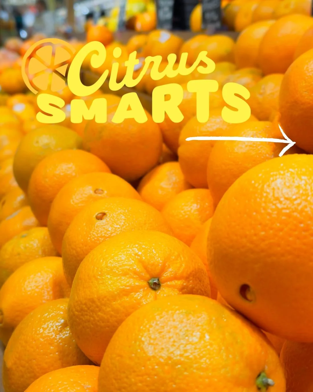 While citrus season brings some challenges, the juice is worth the squeeze. With a little time, attention and care, the wide world of citrus is bound to bring excitement. For more advice and info, check out the Harvesting Wisdom: Squeeze the Best Out