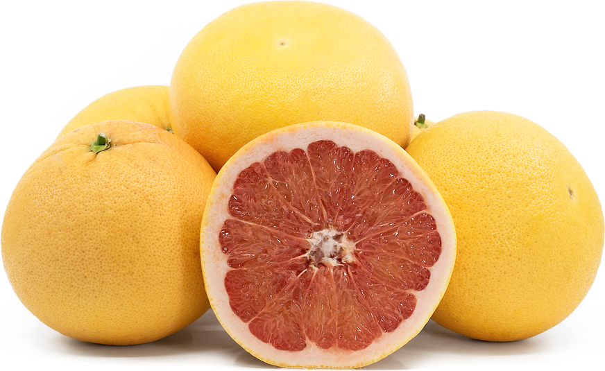 Rio Star Grapefruit