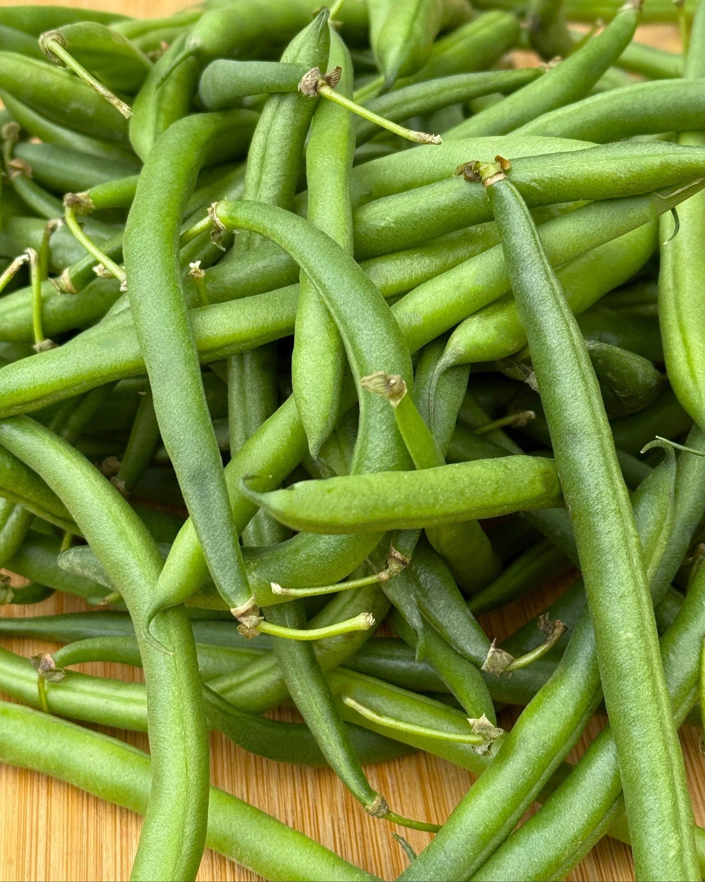 Build bountiful displays of our OGC Peak Picks of the Week:​

🫛 &ldquo;Protein&rdquo; and &ldquo;fiber&rdquo; might be the buzziest words in the nutrition realm these days, and, lucky for shoppers on the lookout, organic green beans from our friends