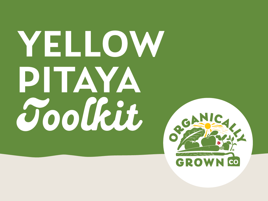 Organic Yellow Pitaya Dragon Fruit Toolkit&nbsp;