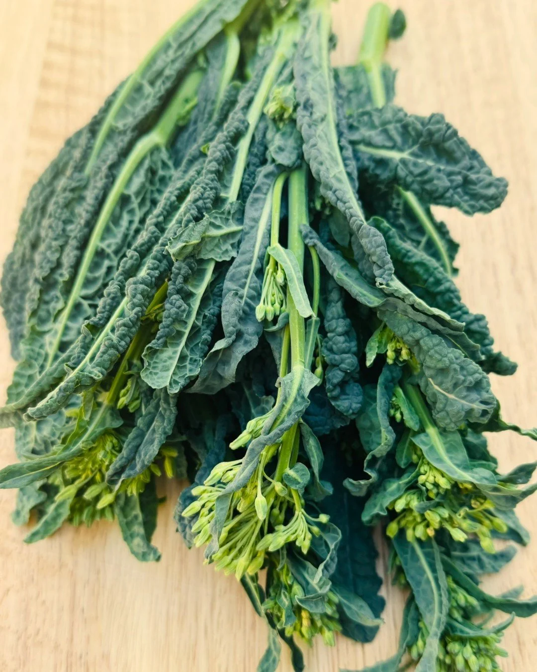 Load up on these OGC Peak Picks of the Week: 

✅ Organic Italian kale raab is the flowering shoots of overwintered kale plants, and it&rsquo;s tender, sweet and peppery. Cold weather helps develop natural sugars in this delicious and special veggie, 