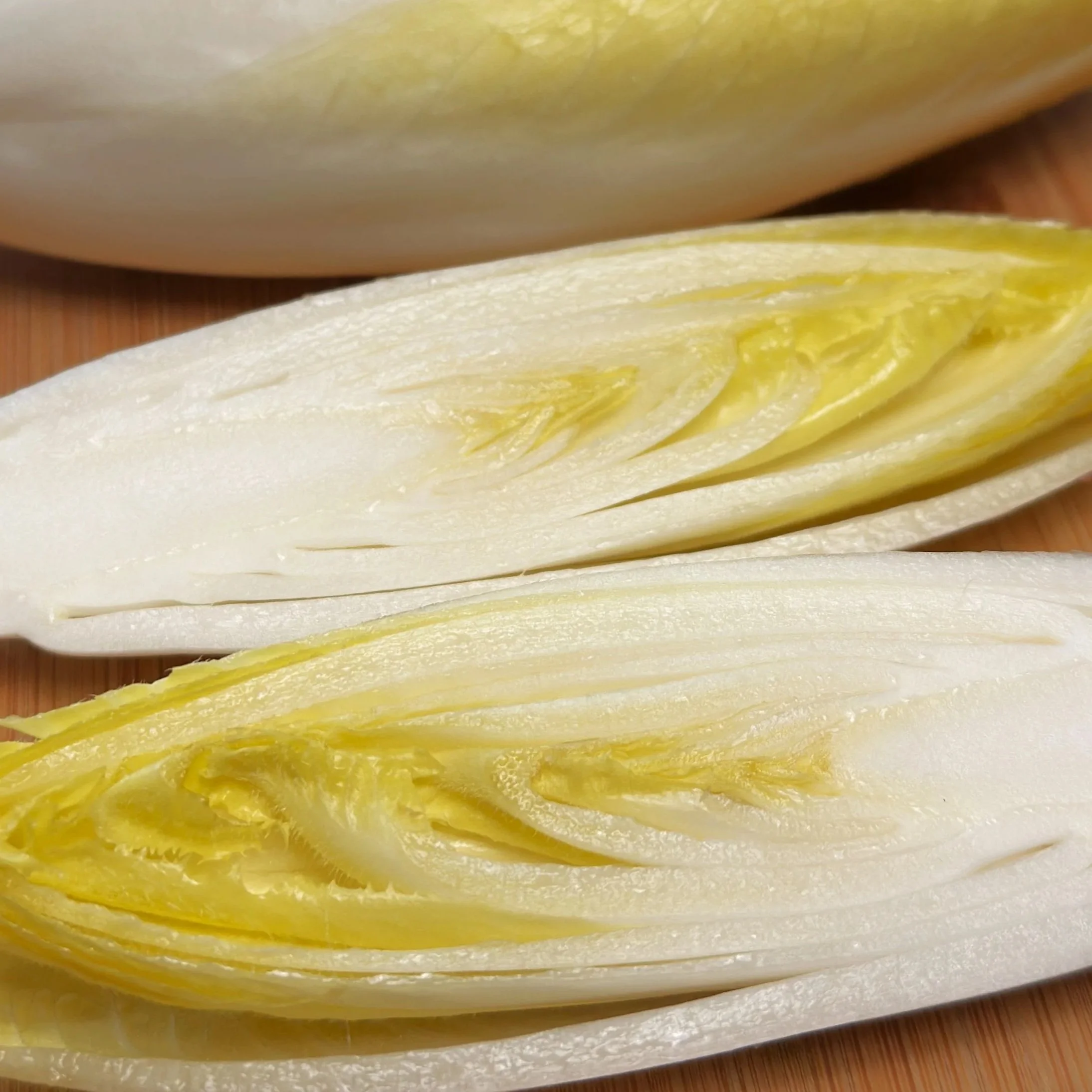 Belgian Endive