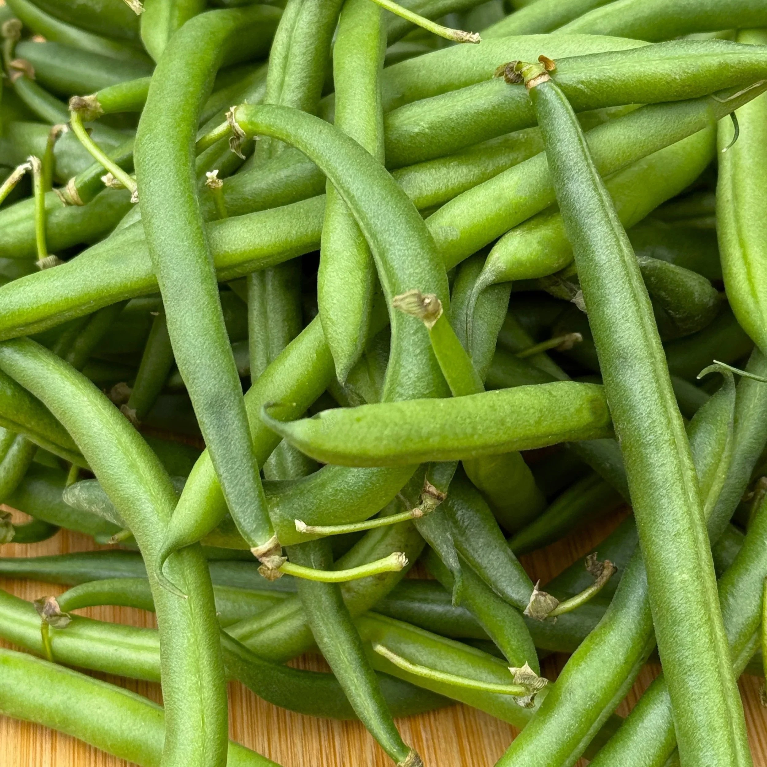 Green Beans