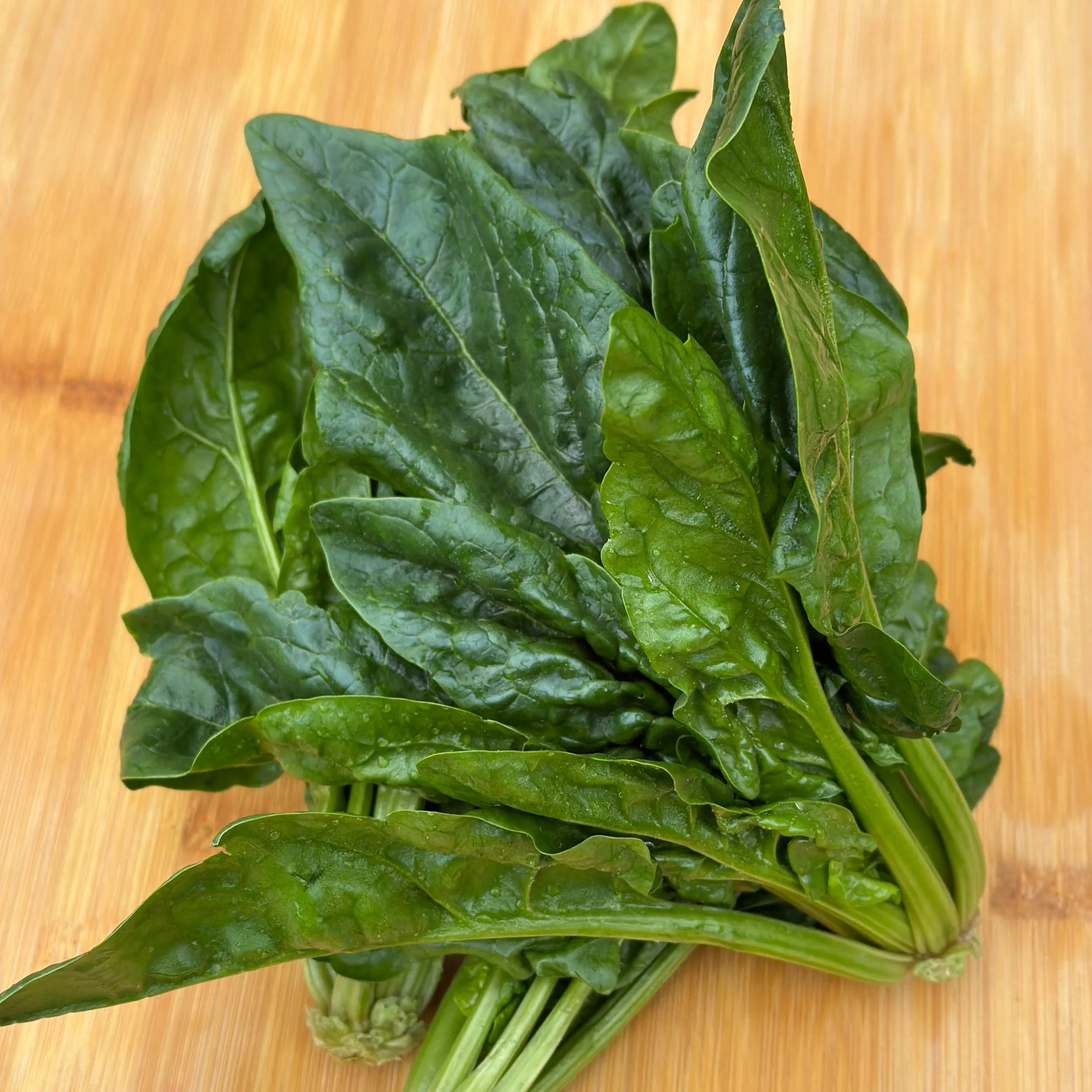 Bunch Spinach