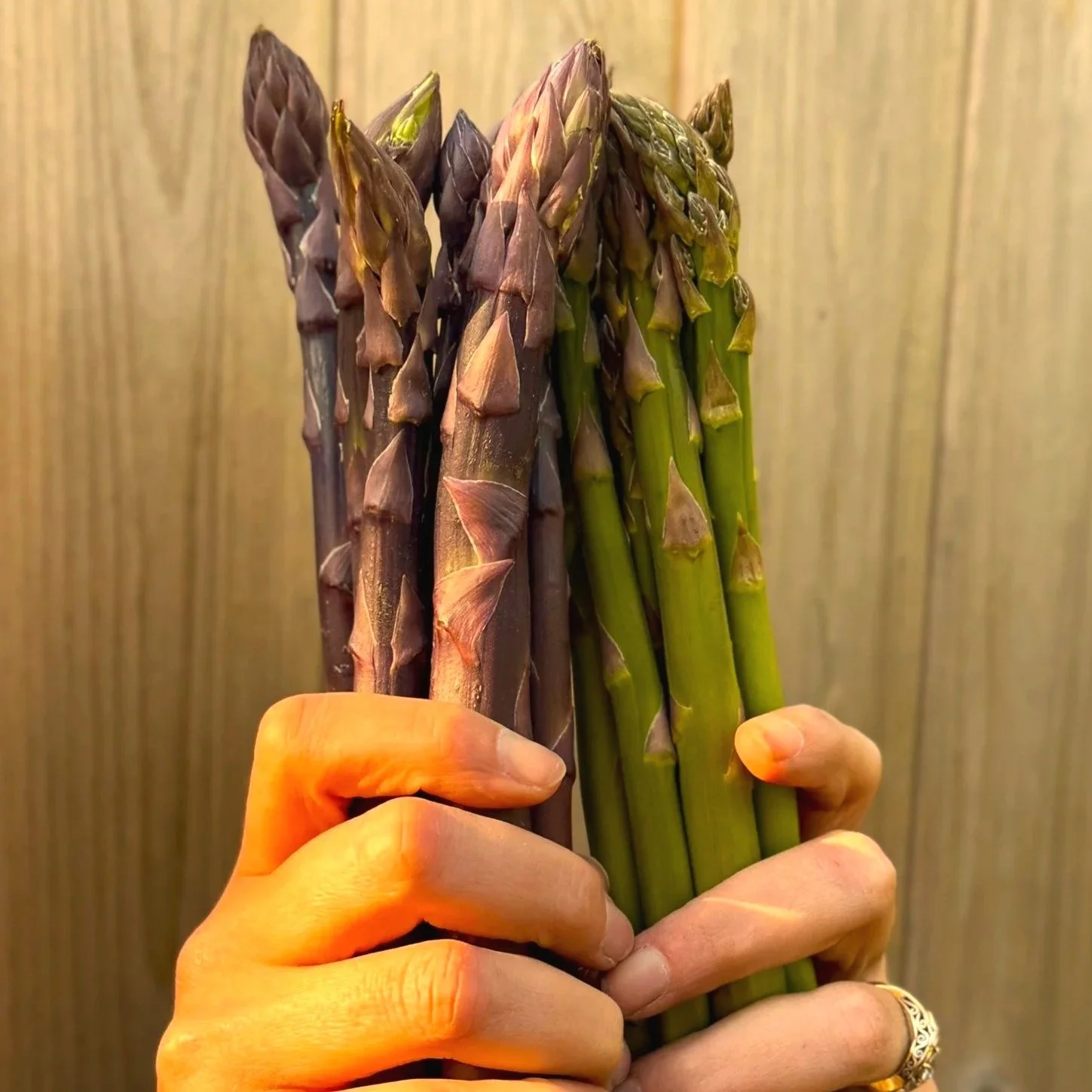 Asparagus