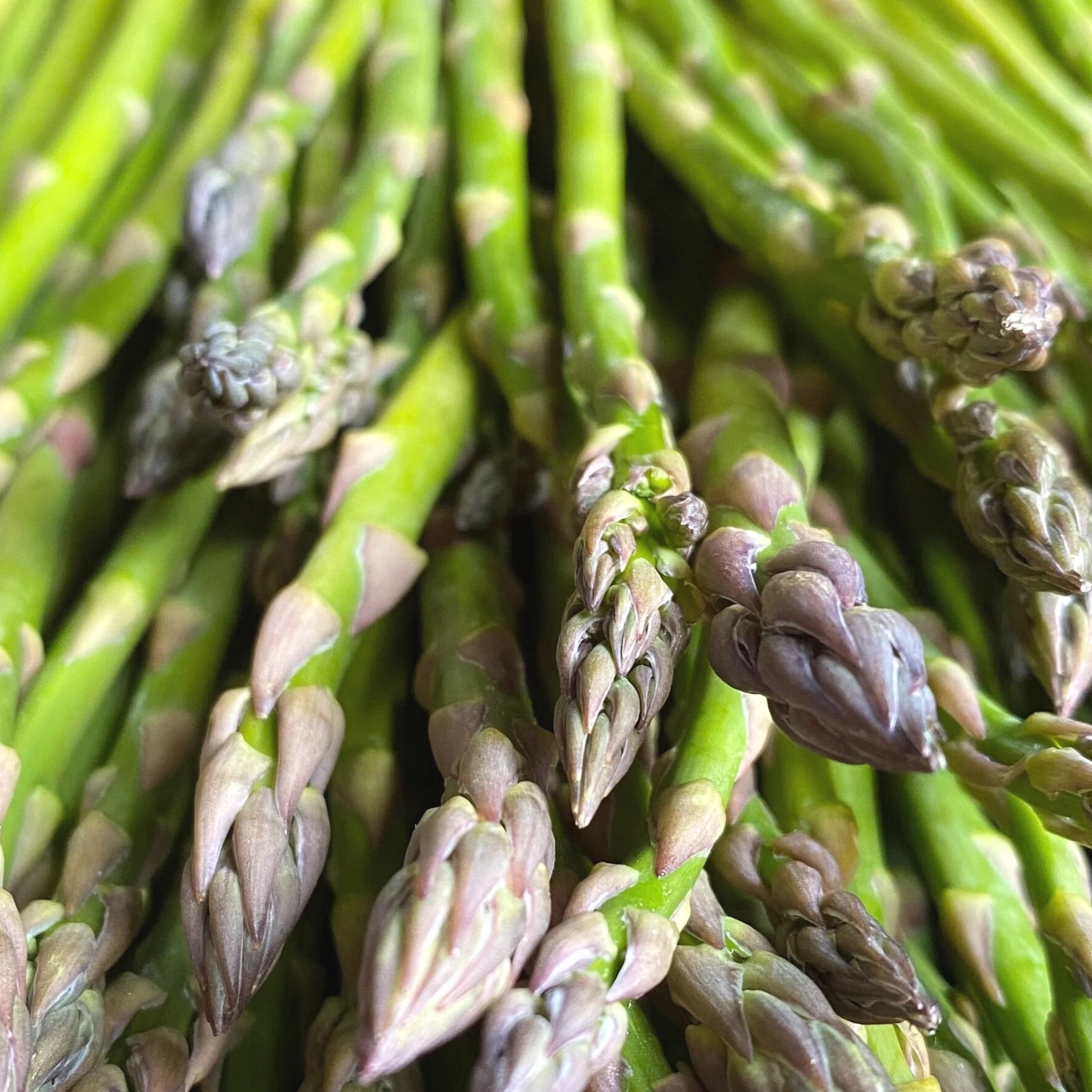 Asparagus
