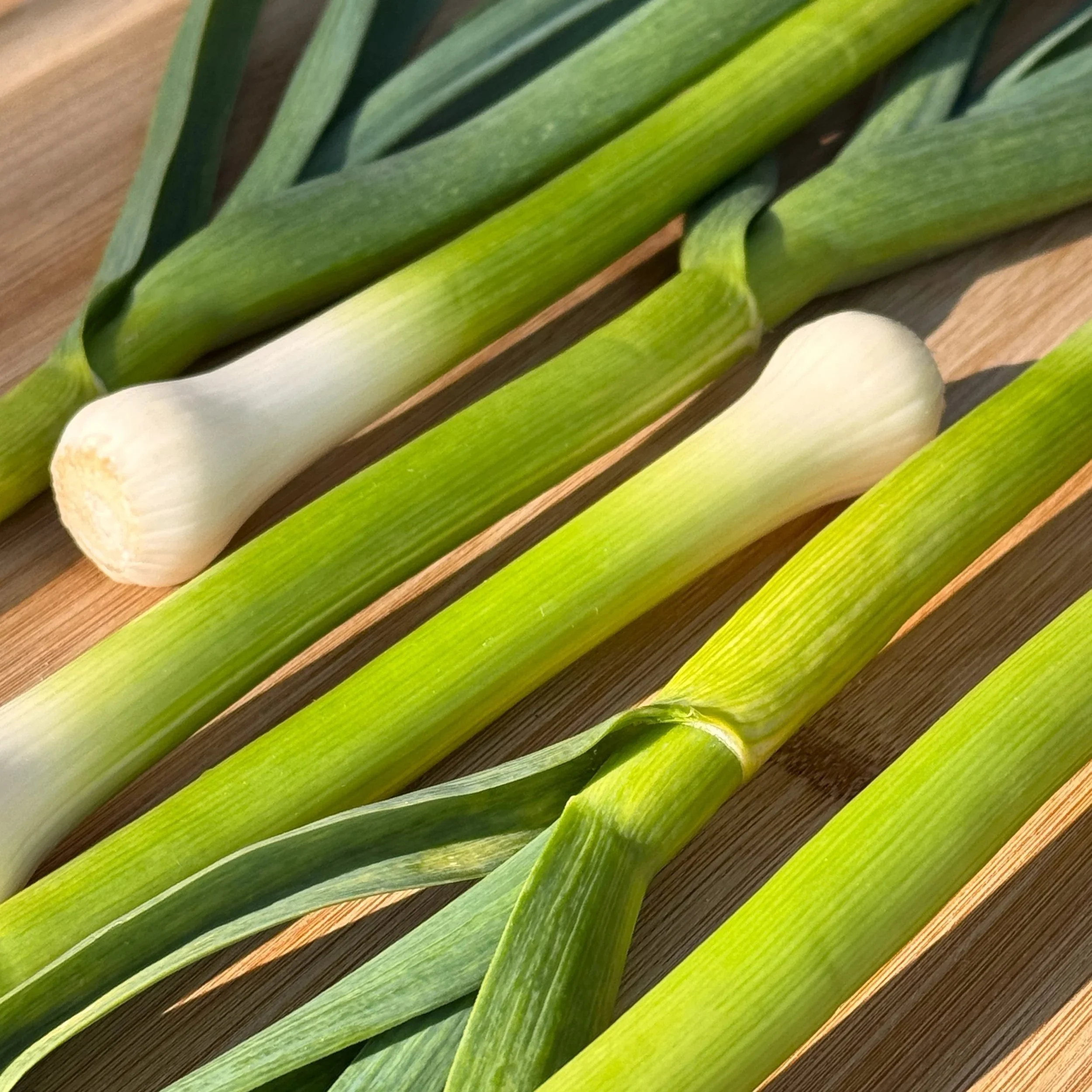Green Garlic
