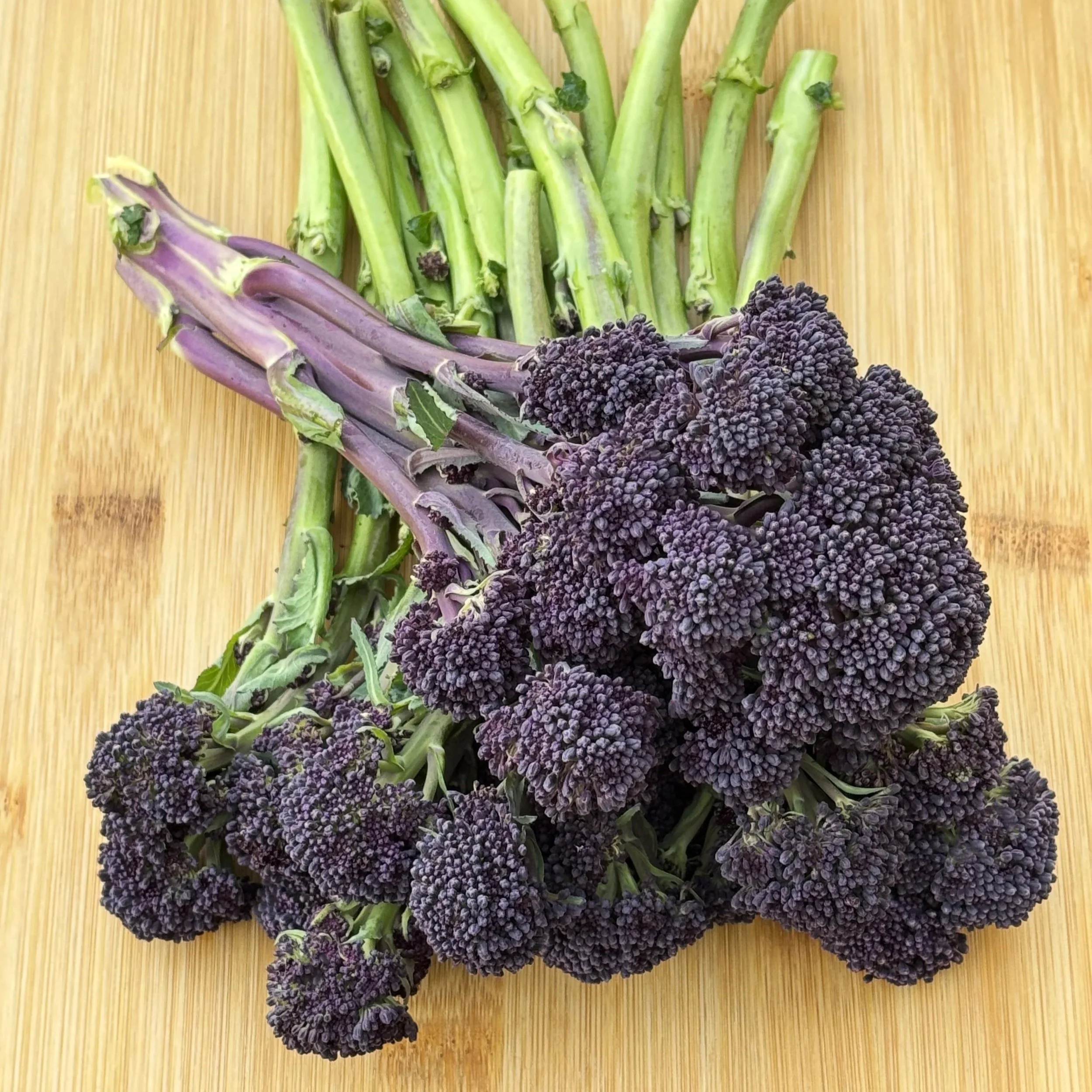 Purple Sprouting Broccoli