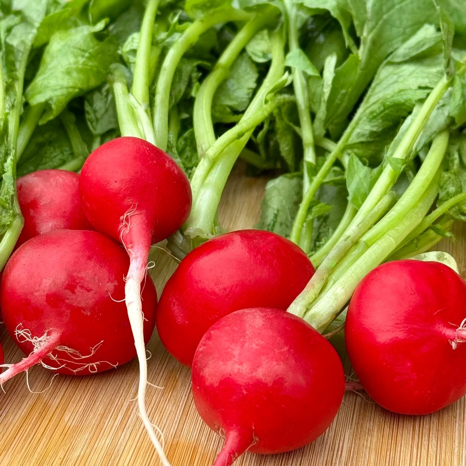 Red Globe Radish