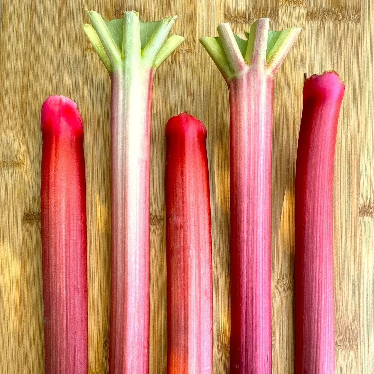 Rhubarb