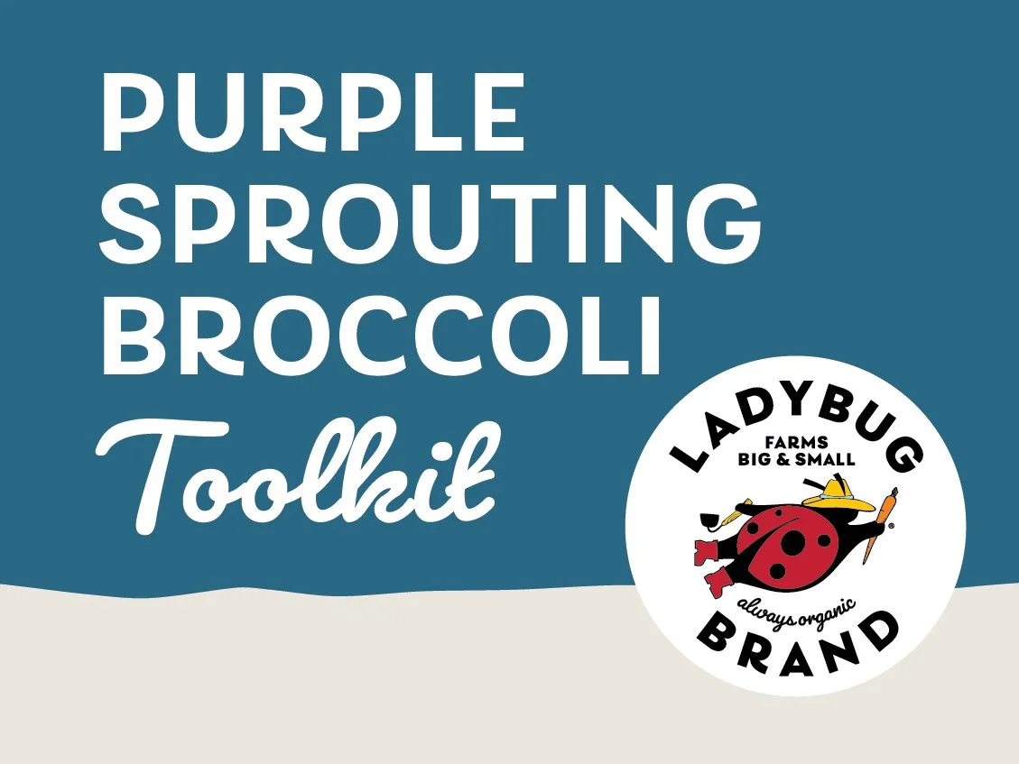 Ladybug Brand Purple Sprouting Broccoli Toolkit