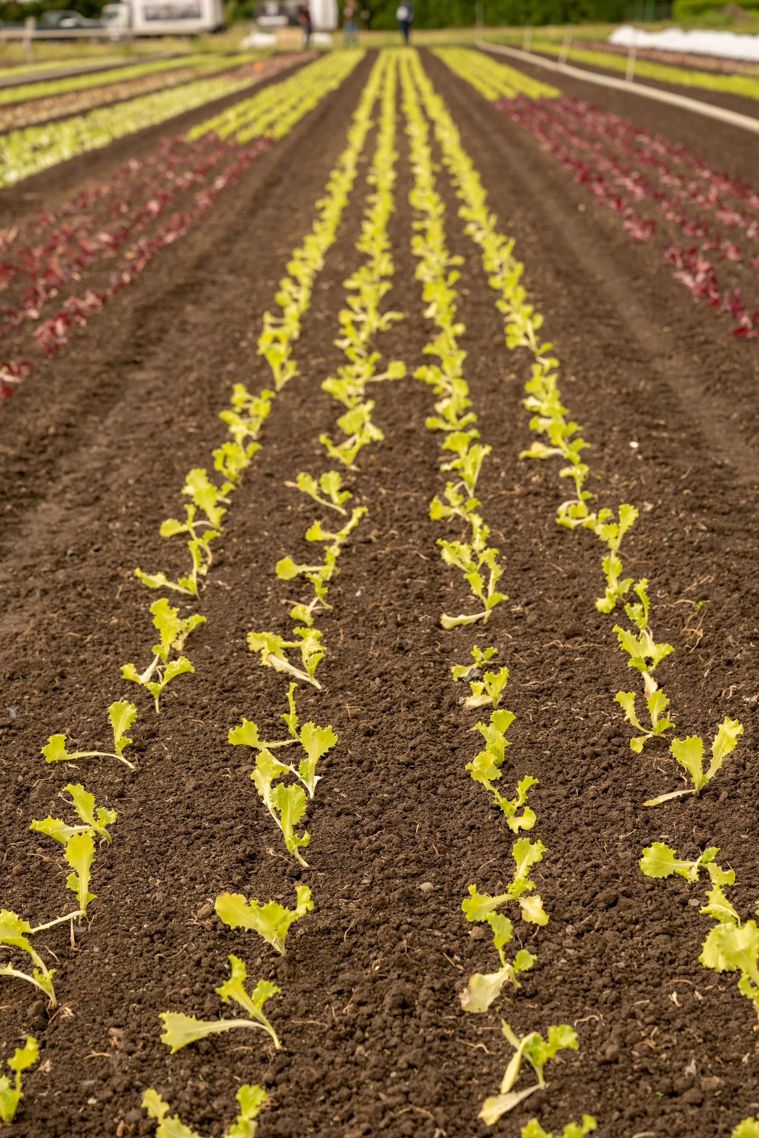 Start Spring Off Right&nbsp;