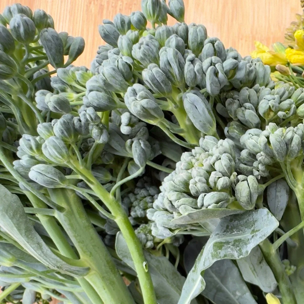 Broccoli Raab