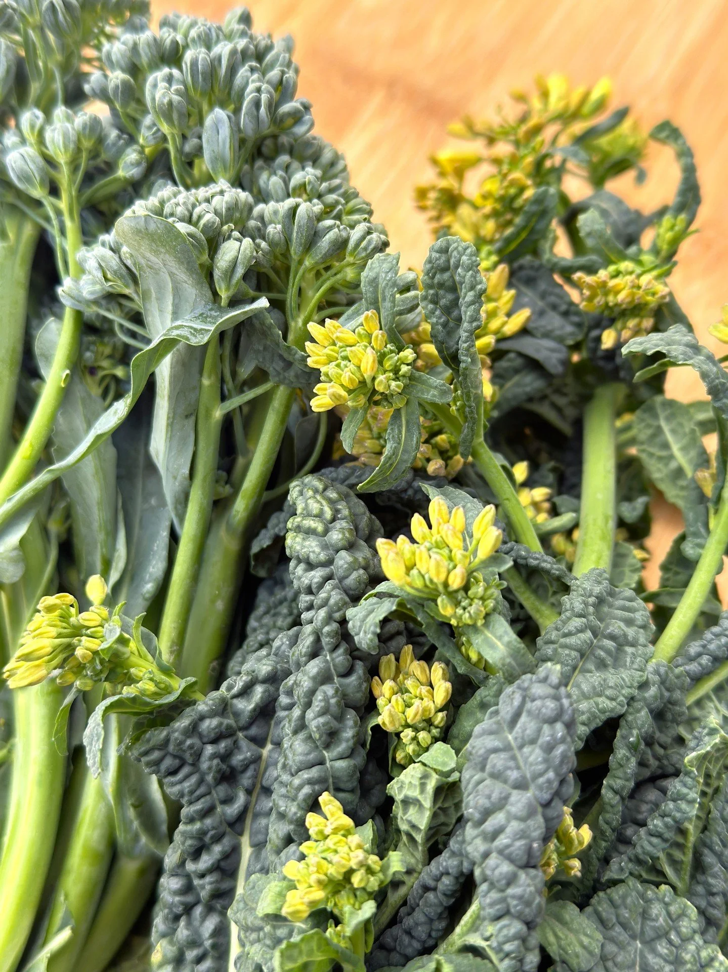 Raab-O-Rama!
Spring raab is a win for both eaters and farmers. Cold winter weather helps the plants build extra sugars, making raab super sweet, while the fresh new shoots stay extra tender. Depending on the type of Brassica it comes from, the flavor