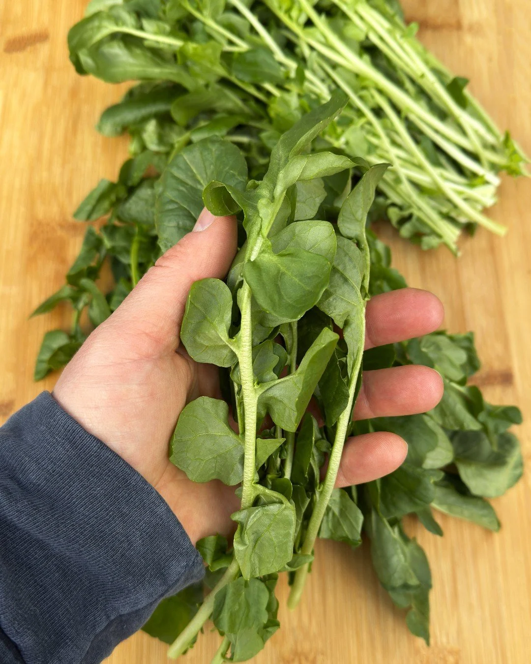 Quick and easy talking points for OGC&rsquo;s Peak Picks of the Week, tell your shoppers&hellip;

👉 The word &ldquo;superfood&rdquo; conjures images of pomegranates, kale and quinoa, but low-key watercress is an unexpected produce powerhouse. A memb