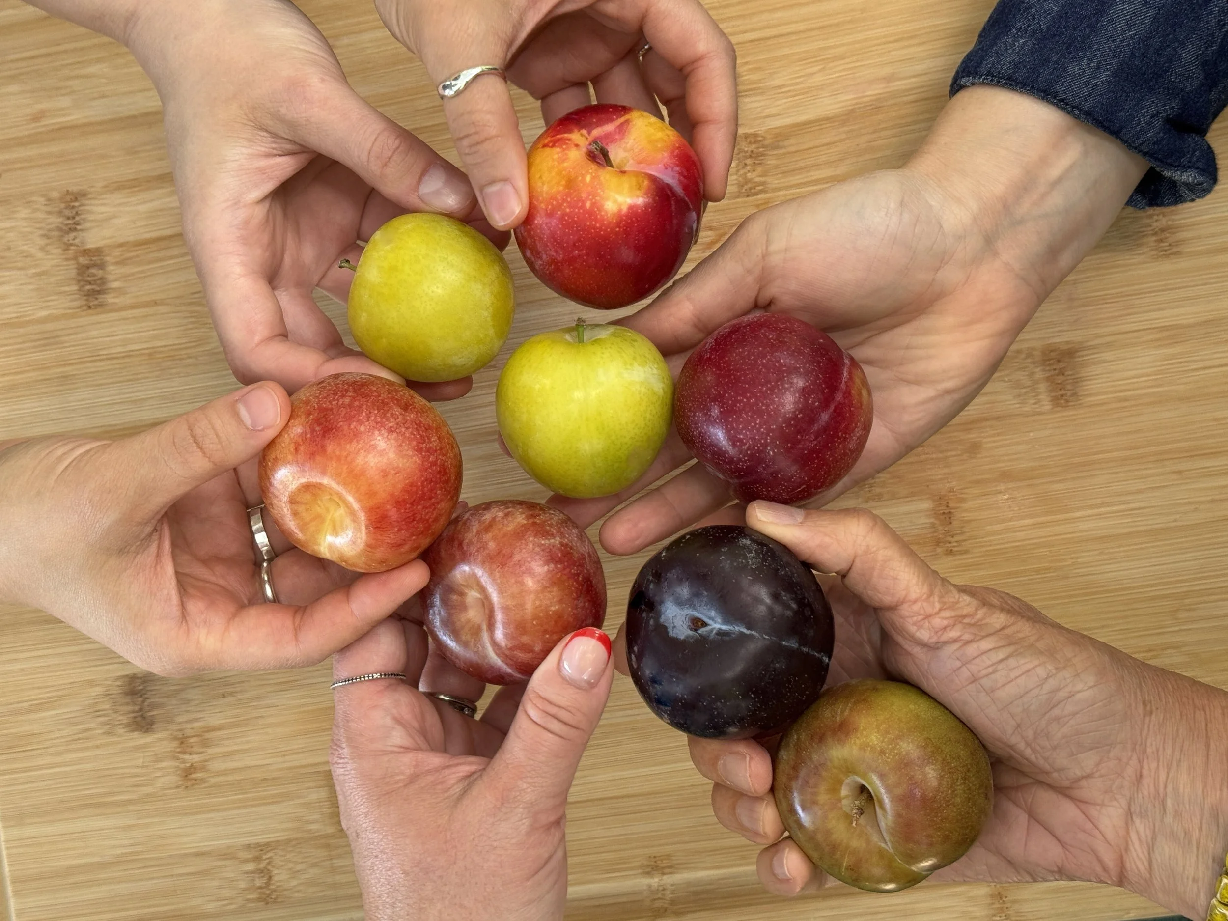 Group Hands 1 2025 Horizontal.jpg