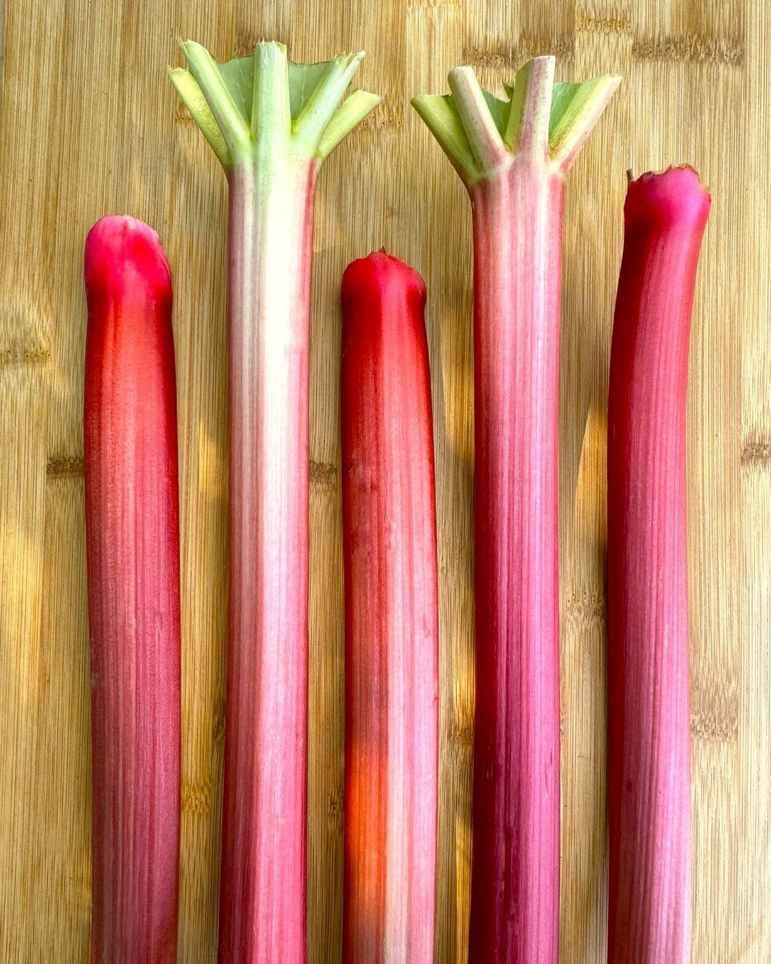 NW OGC Peak Picks of the Week coming in strong! 

NW grown organic rhubarb is back, bringing crisp texture and tangy flavor to pies, jams and even savory spring dishes. Grown in Oregon&rsquo;s rich floodplain soils at Montecucco Farms, these ruby red