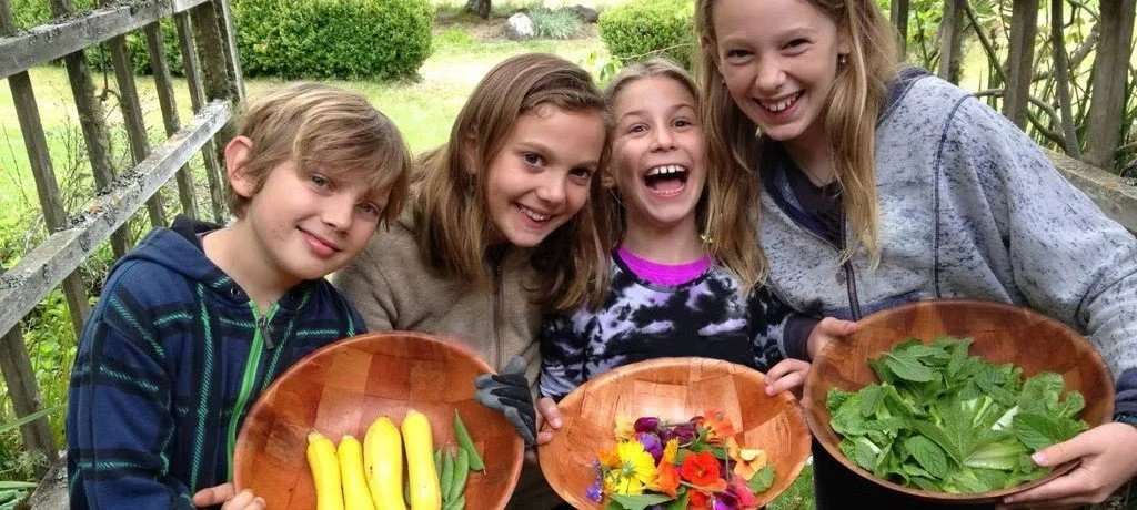 Kids & veggie bowls_jpg.jpg
