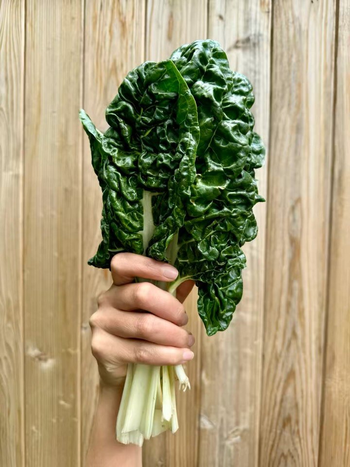 Looking for some inspiration this week? Look to the OGC Peak Picks of the Week:

🥬 We&rsquo;ve got bunches of bunched greens with the first big volume of organic NW grown chard of the season. Keep your wet racks piled high with the regional greens y