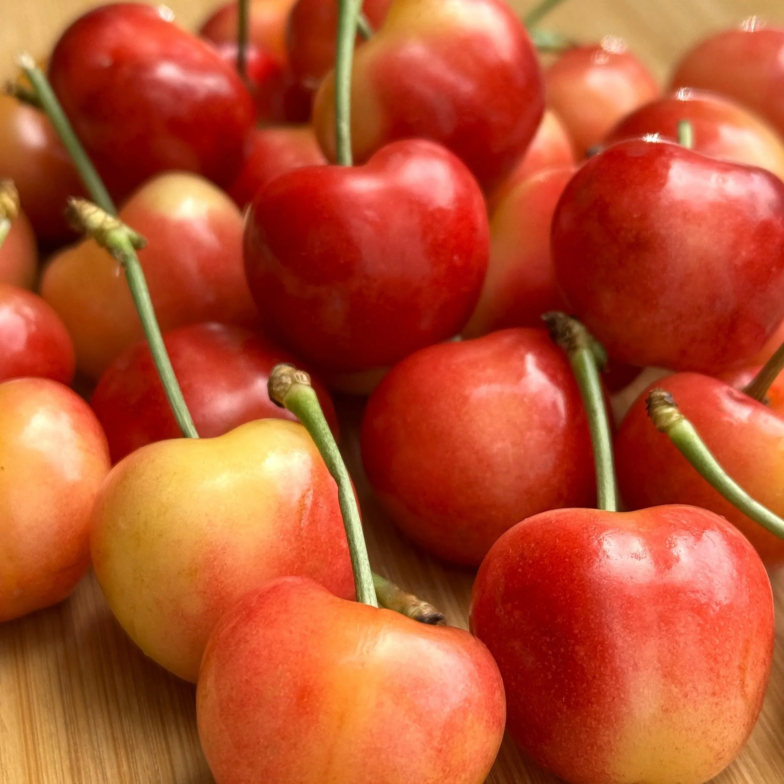 Rainer Cherries
