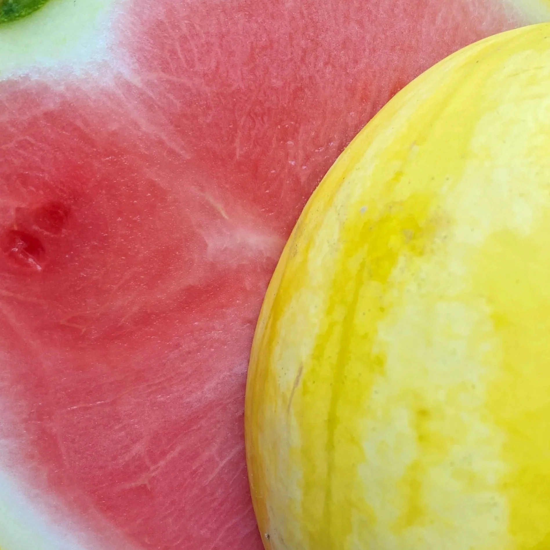 Sunshine Seedless
