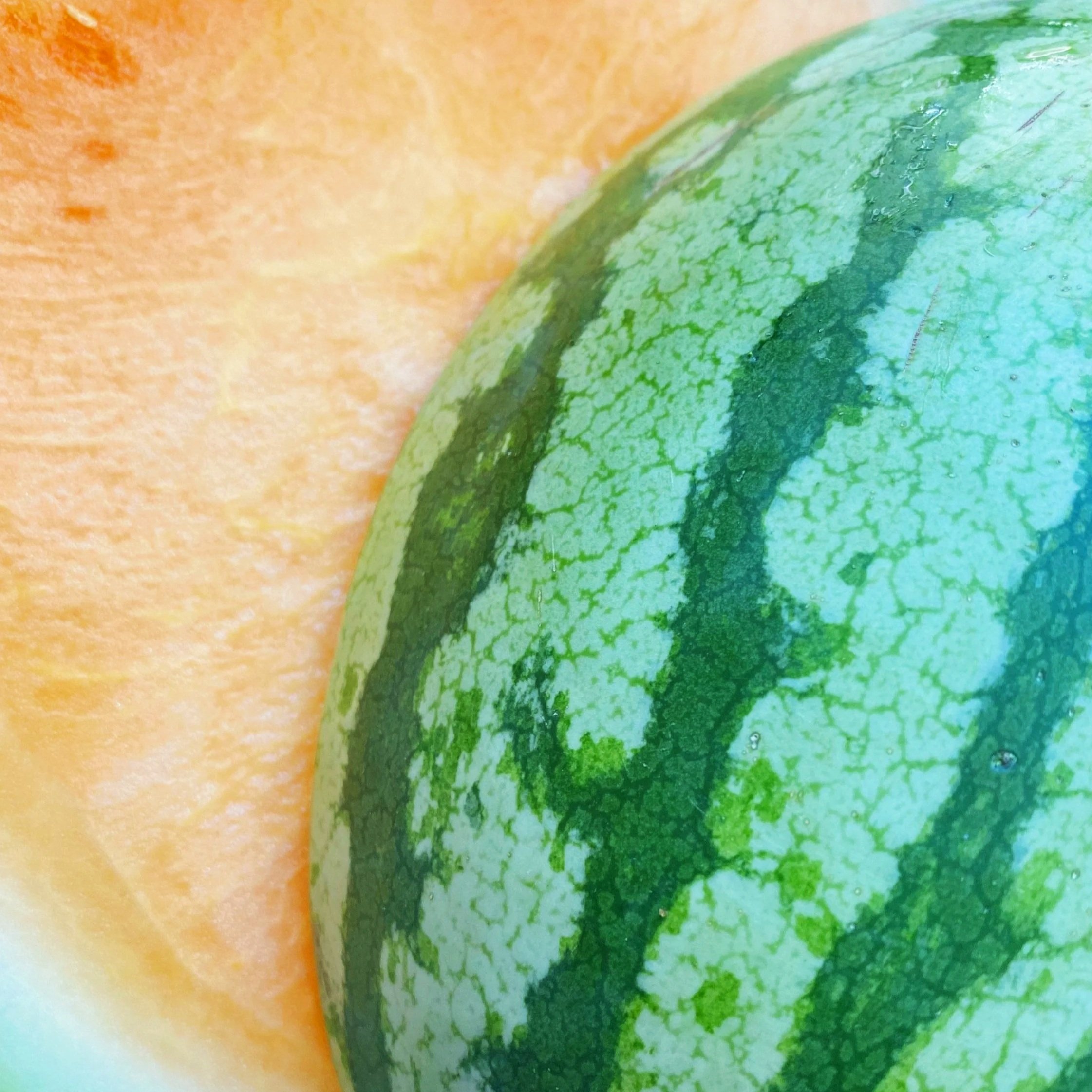 Daybreak Seedless