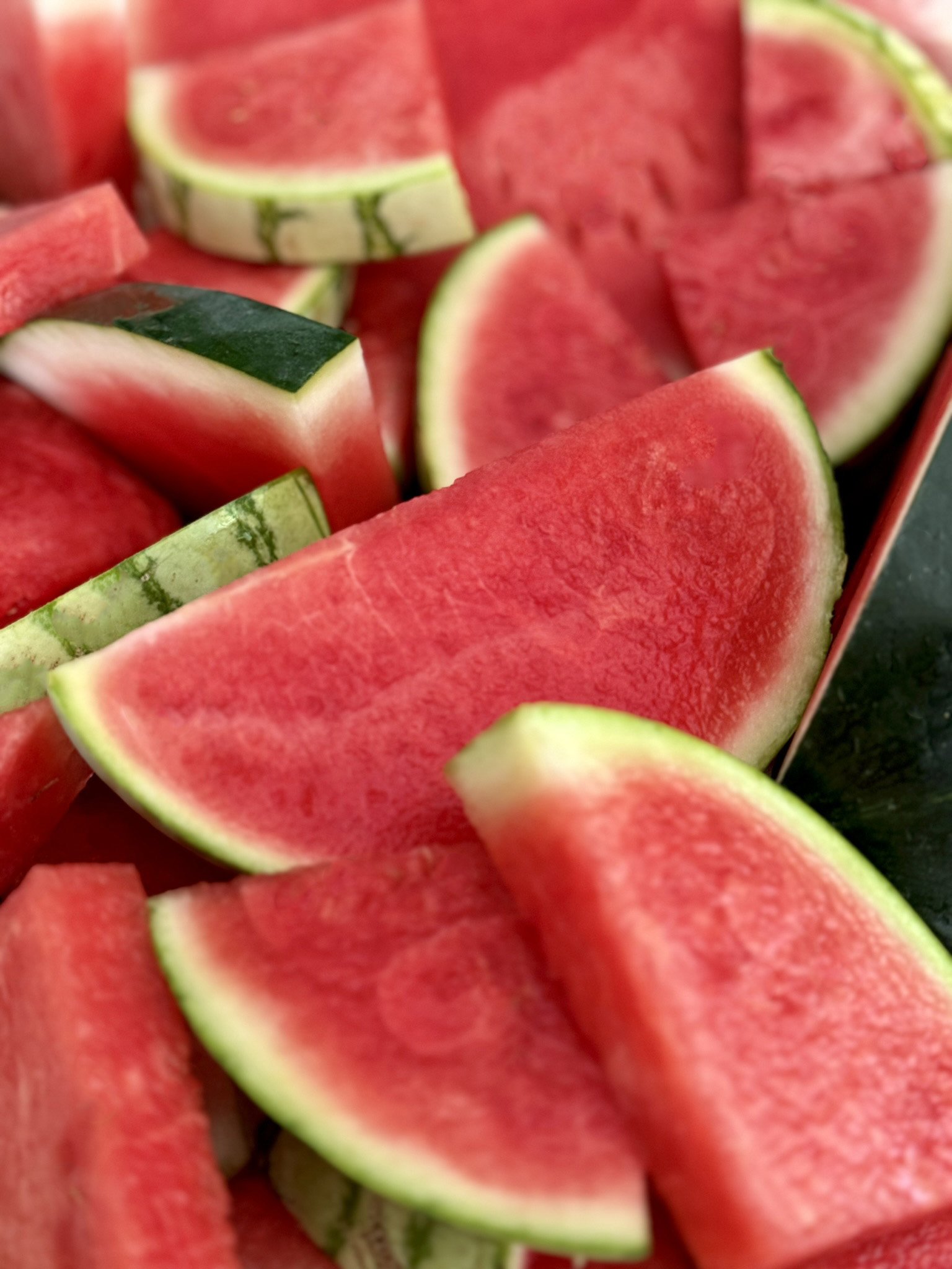 Harvesting Wisdom: Unlock the Magic of Melons