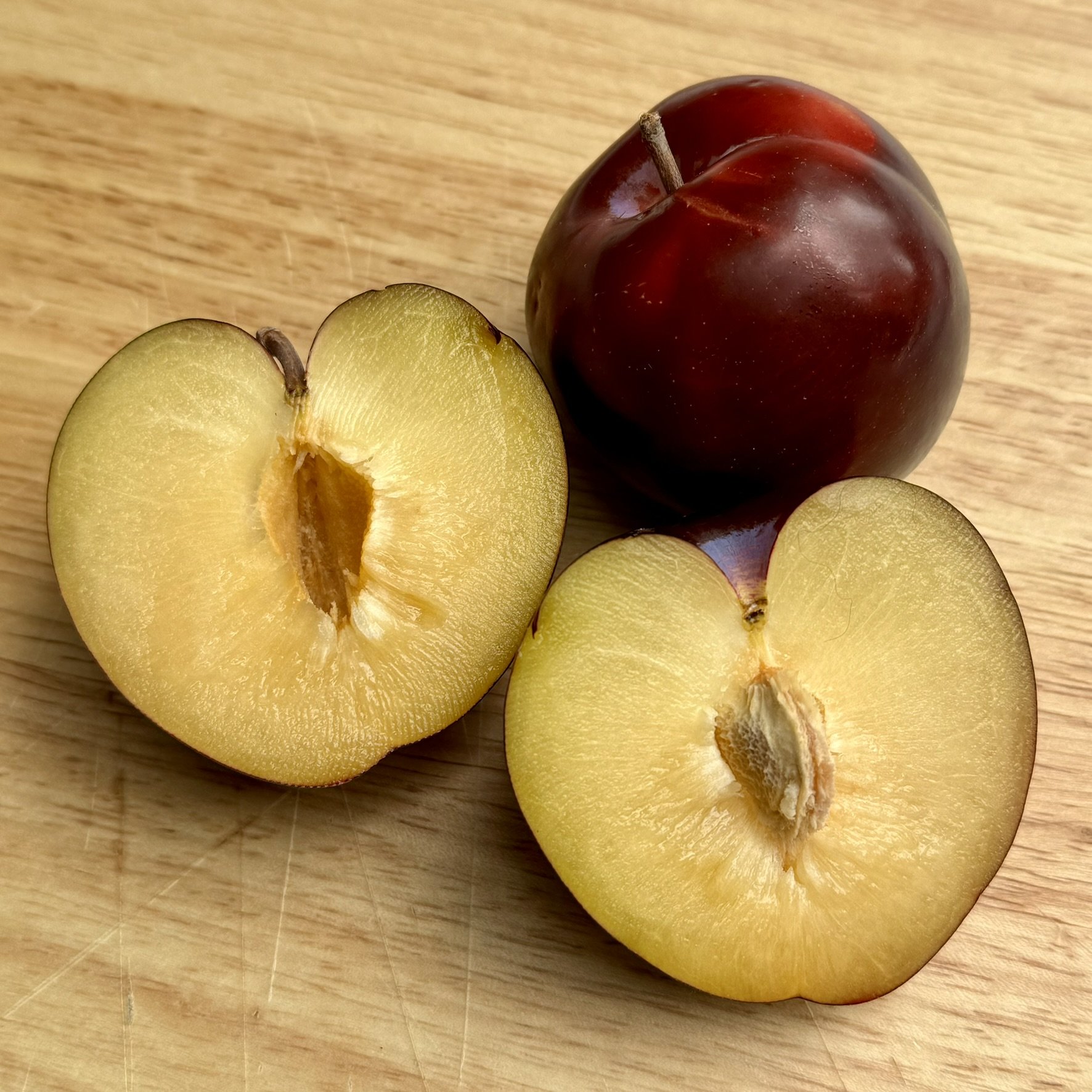 Simka Plum 2024_3 (1).JPEG
