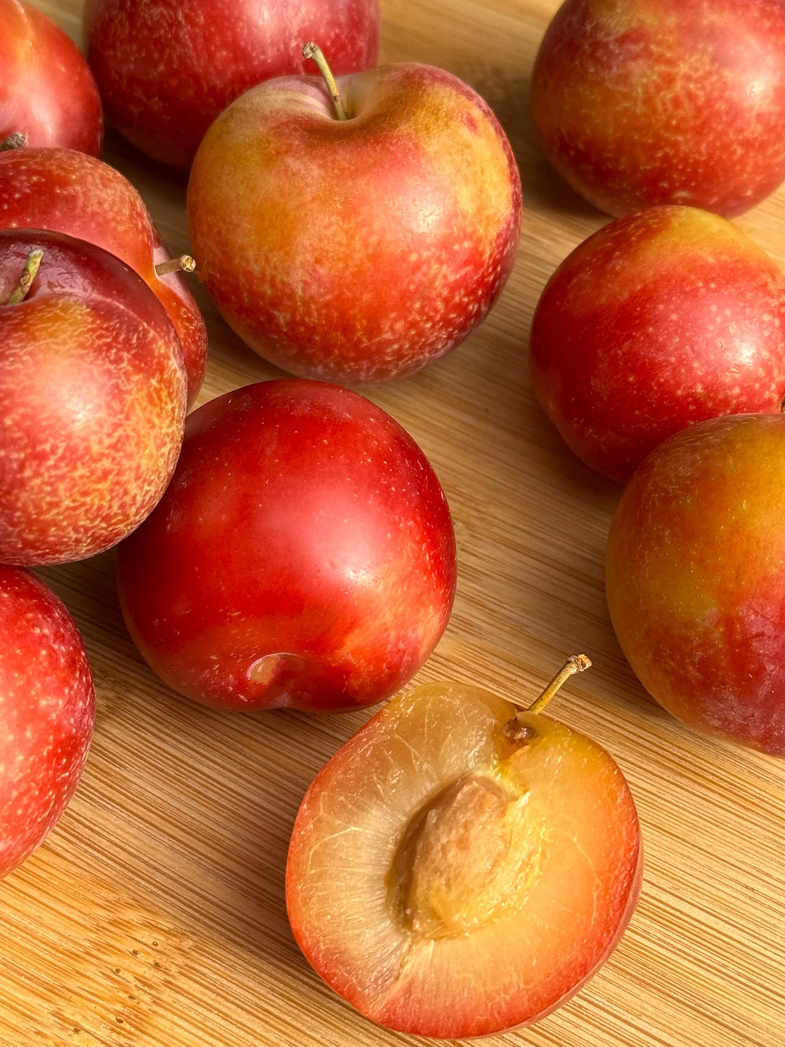 Very Cherry Plum 1 2025 (Retouched).jpg