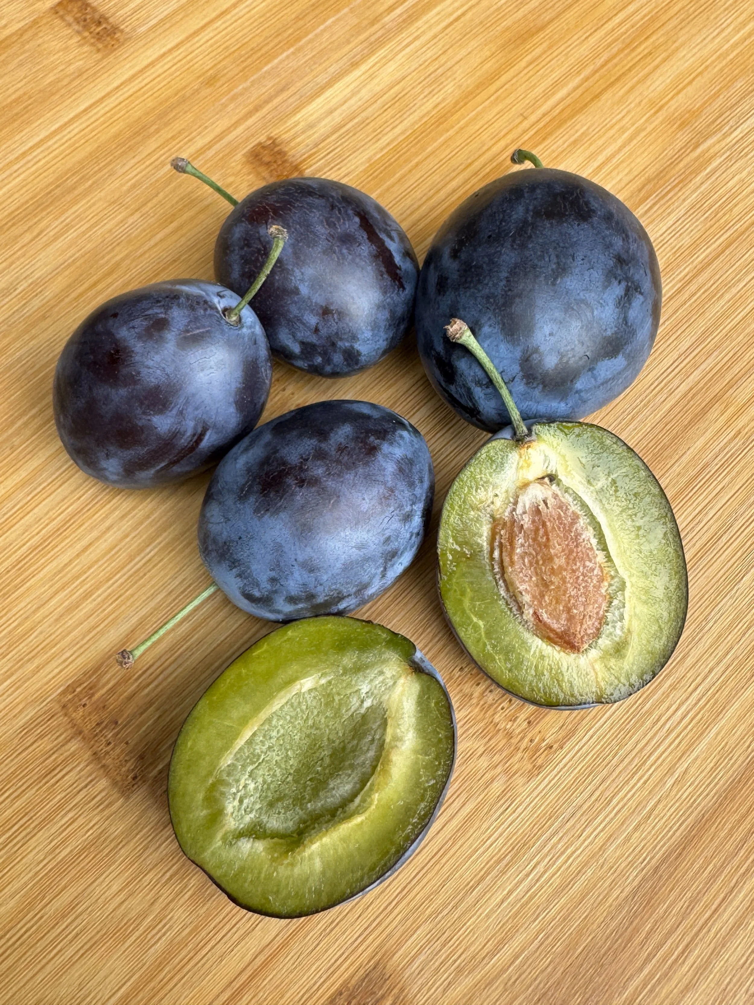 NW Italian Prune Plum 1 2025 (1).jpg