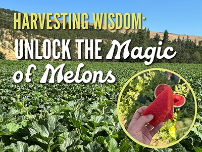 Harvesting Wisdom: Unlock the Magic of Melons