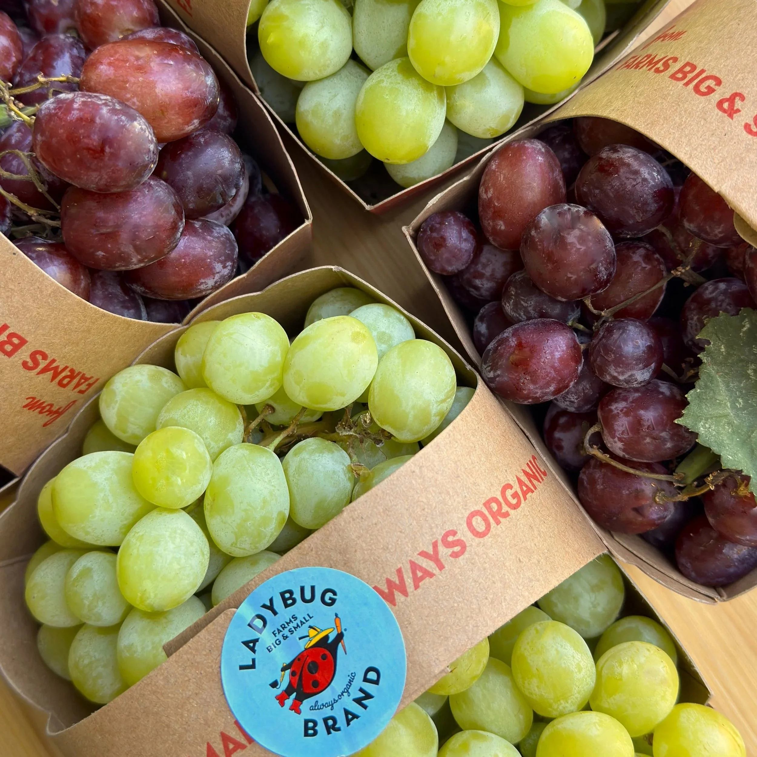 Red & Green Seedless
