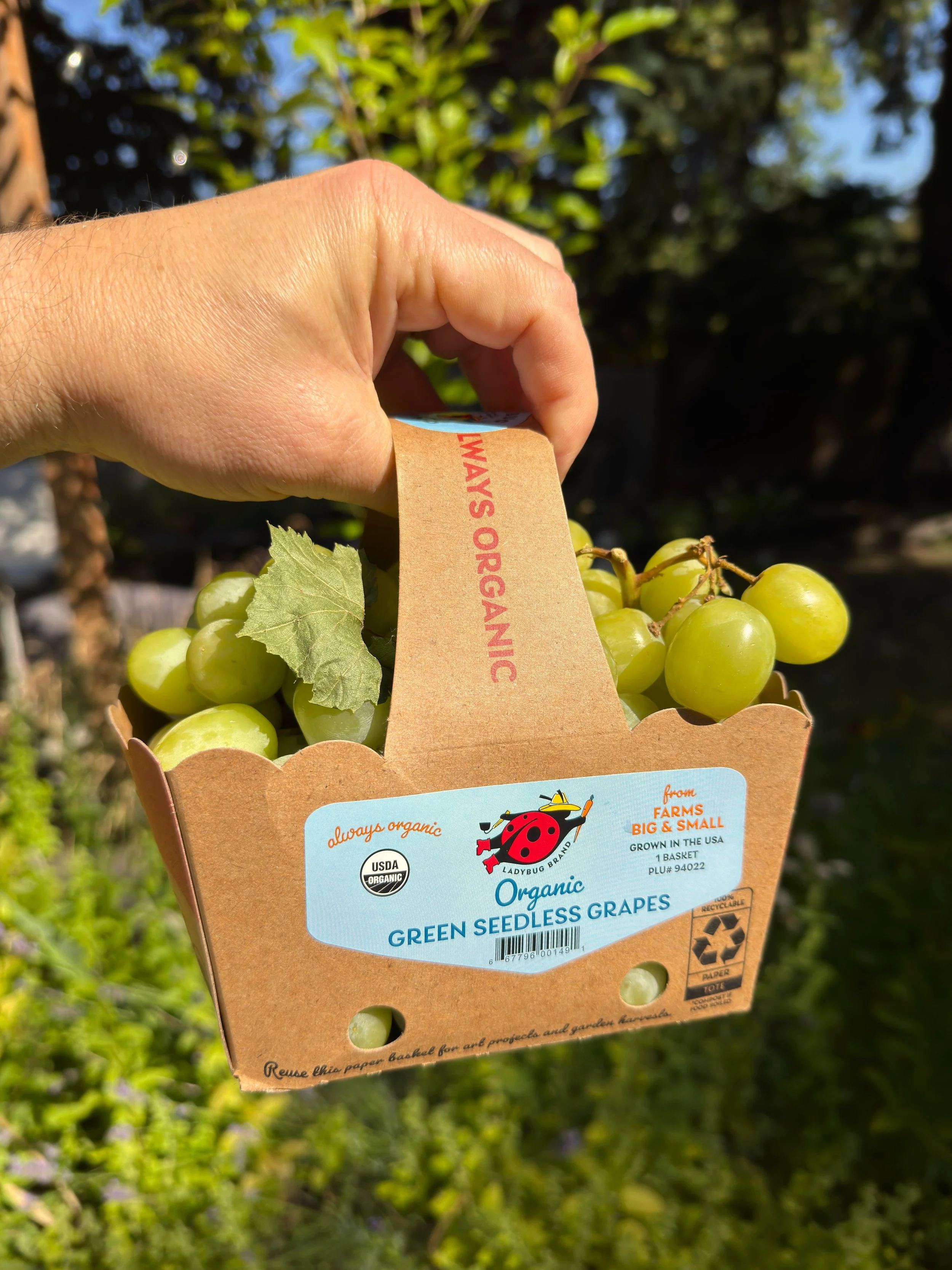 Red & Green Seedless Grapes - LDB Tote 6 2025.JPEG