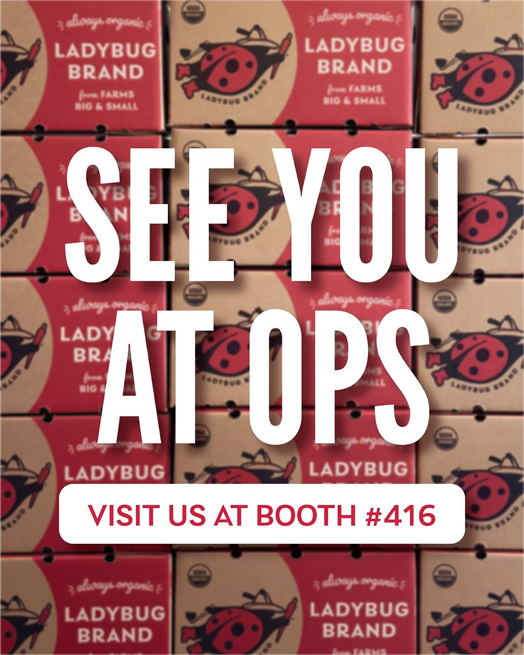Next week, at the @organicproducesummit, we're turning the spotlight on @ladybugbrandproduce, the label that's been helping retailers and shoppers find trusted organic produce for decades. 🐞 
 
If you've ever looked at a Ladybug Brand box, bag or la