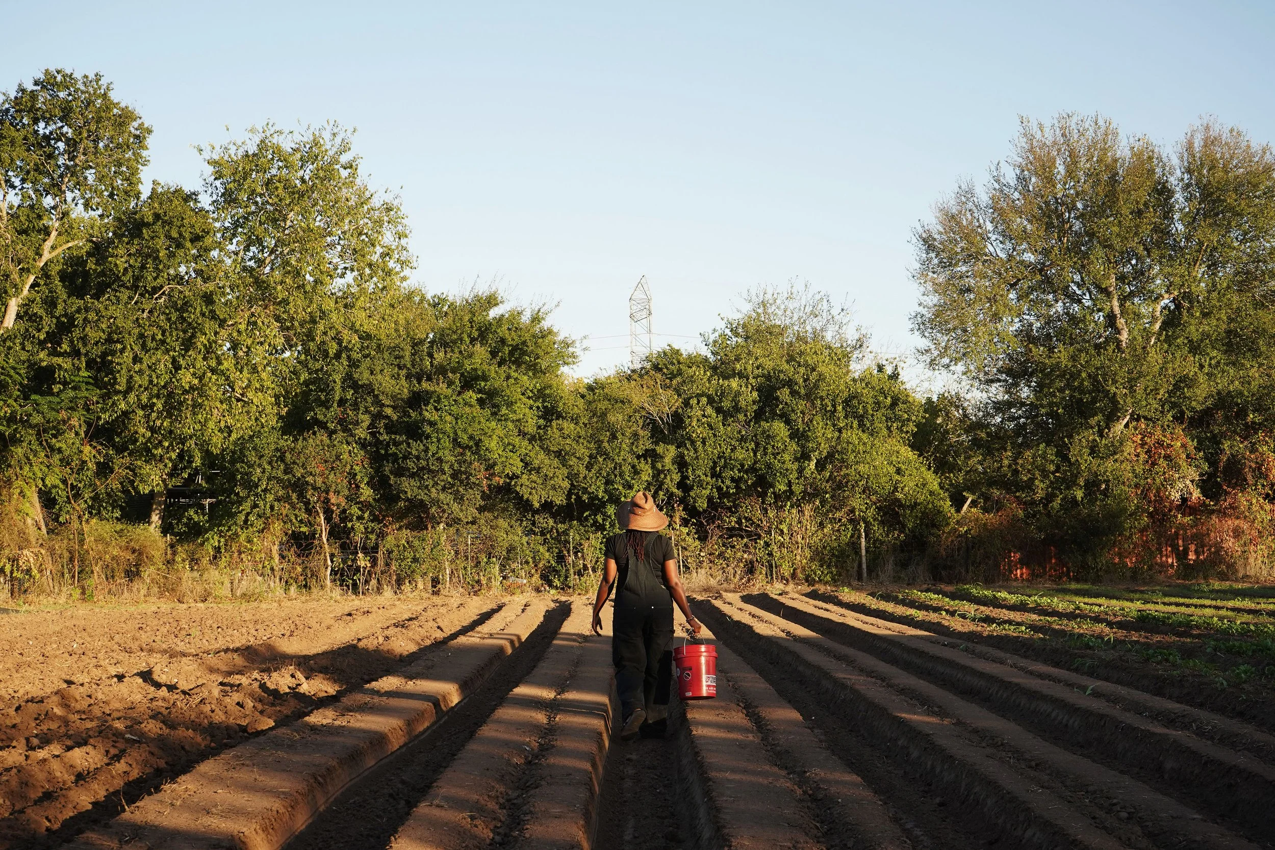 FarmShare_AlisonMarlborough_September2024_0032 (1).JPG