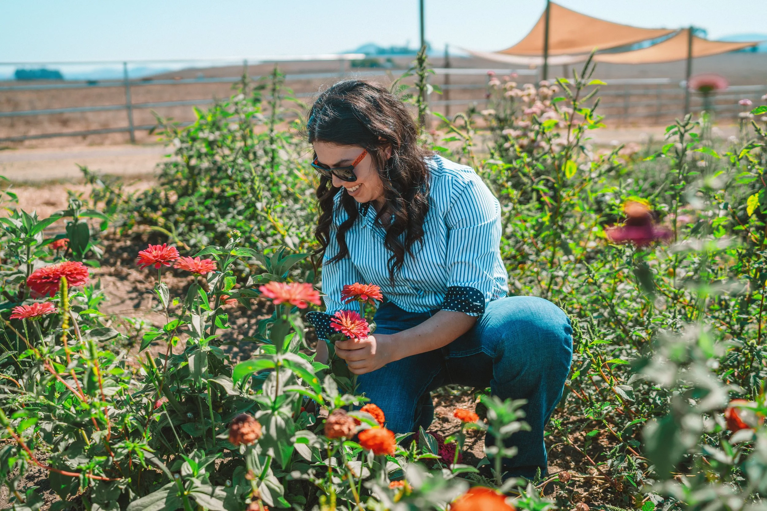 Meet OGC Mission Fund Recipient: the CCOF Foundation