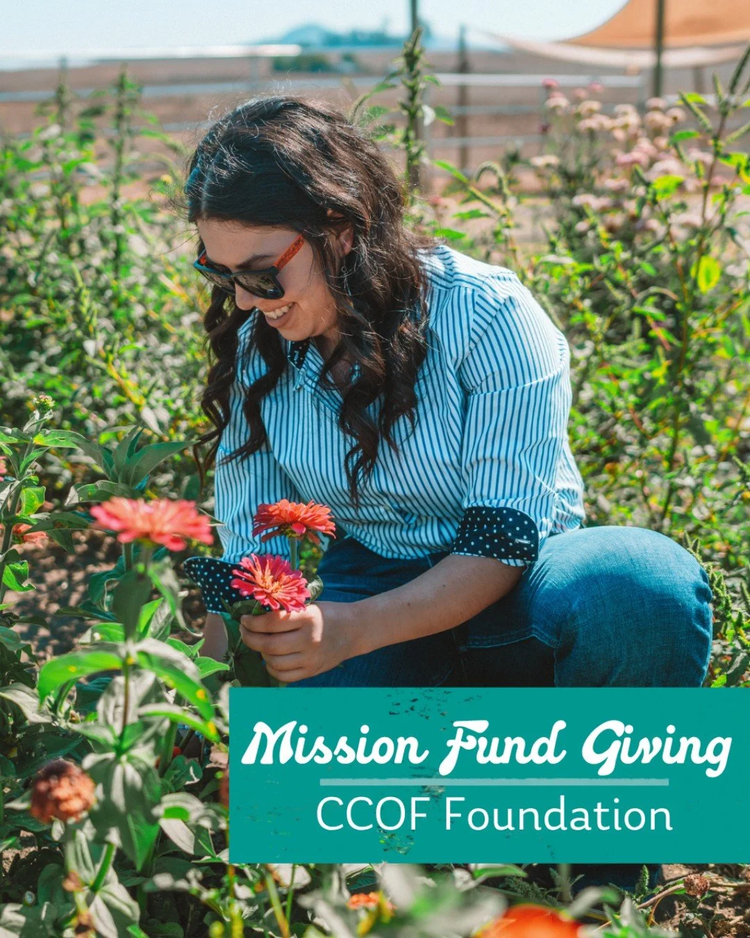 "We are grateful to receive support from OGC as a values-aligned partner in the long-term movement for organic agriculture. OGC&rsquo;s support of the CCOF Foundation helps us create positive environmental, social and economic change,&rdquo; sha