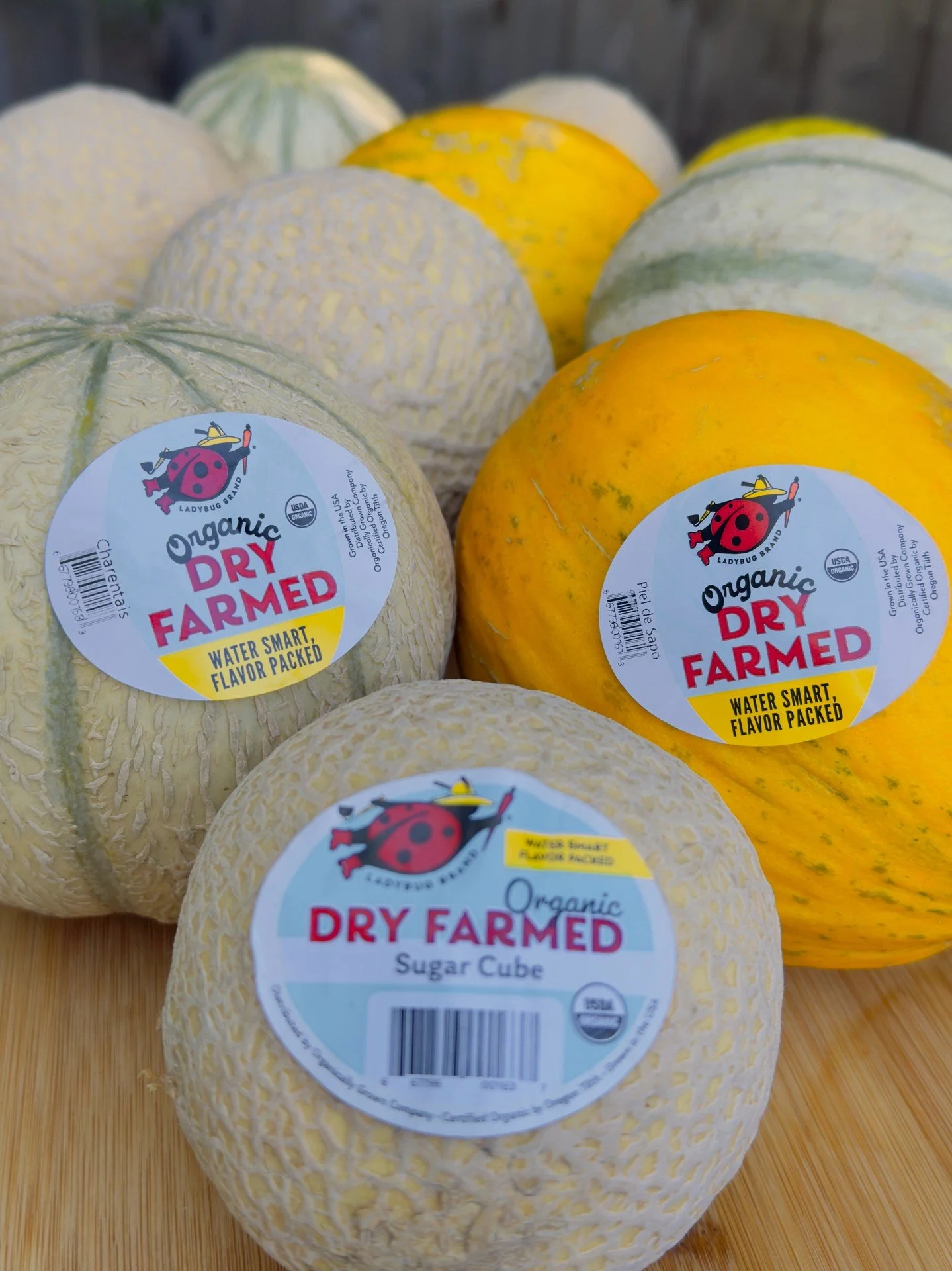 Northwest grown is the name of the game for the OGC Peak Picks of Week: 

🍈 Dry Farmed melons mean rich, sweet, concentrated flavor with a lot less watering. The season has officially kicked off with @LadybugBrandProduce organic Sugar Cube and Chare