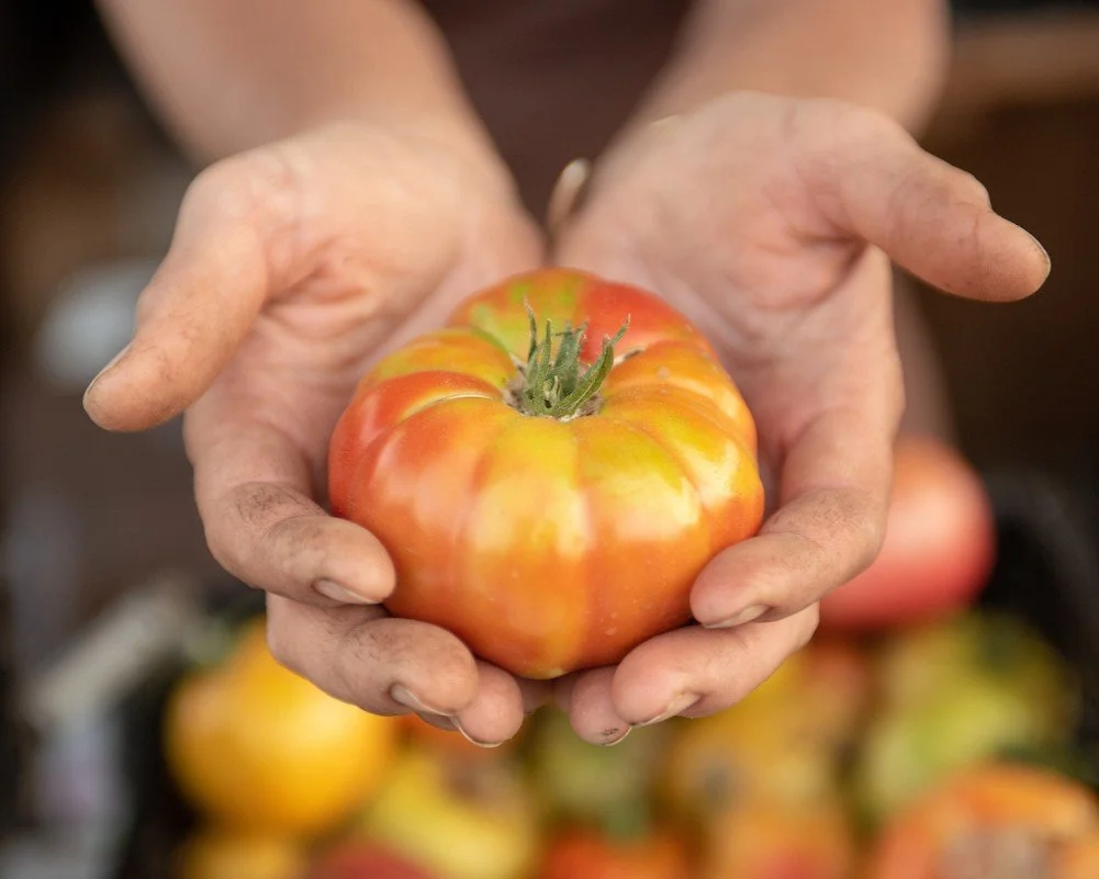 Turns out, what&rsquo;s good for our plate is good for the planet too. 
The way we grow food matters.
Unlike conventional farming that relies on toxic synthetic pesticides and fertilizers, organic farming works with nature to:
🌱 Build healthier soil