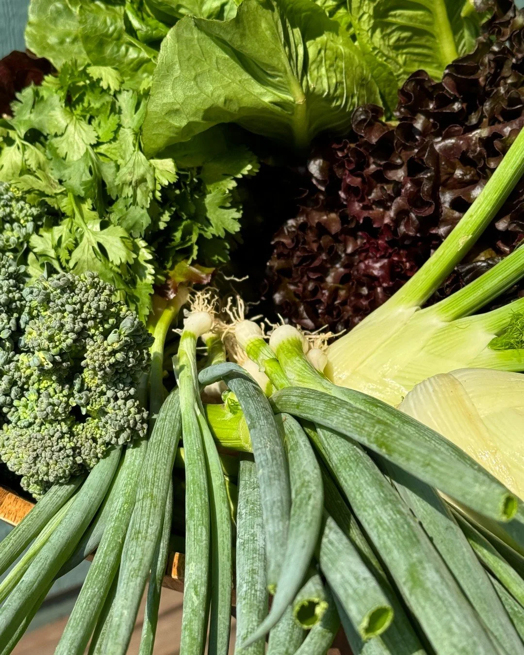 Northwest fields are bursting with summer favorites. Now's the time to fill your department with fresh picks for snacking, backyard barbecues and easy seasonal meals. Bring a farmers' market feel to your displays with produce that's fresh from the fi