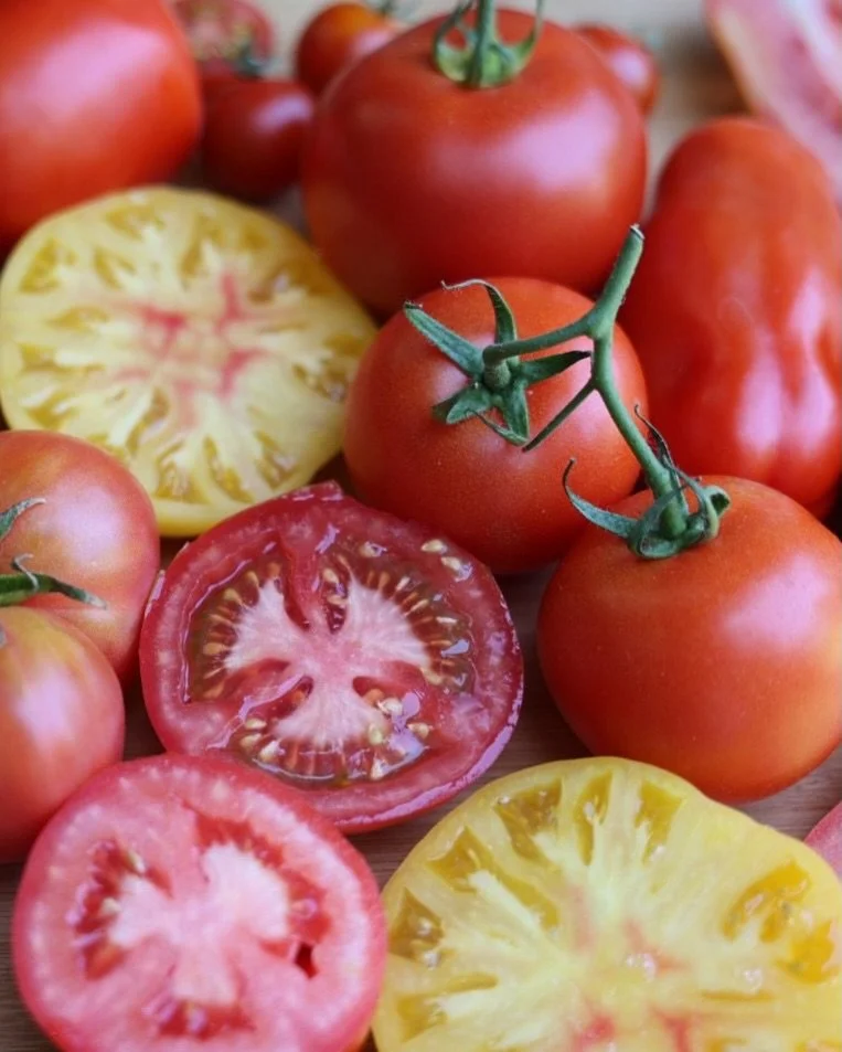 Northwest tomato season is firing on all cylinders and there is a tomato for every summer meal. This is the moment to build brimming display that celebrate the incredible variety of tomato season. For detailed descriptions and info on each variety, c