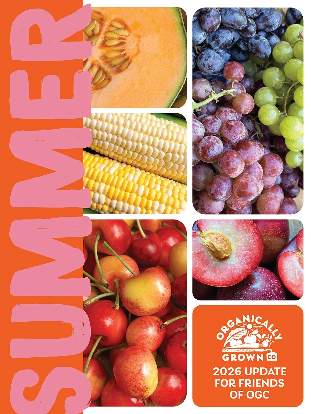 OGC&rsquo;s Summer Update is a snapshot of what we&rsquo;re seeing, learning and working on alongside growers, customers, coworkers and partners across the organic community.​

There&rsquo;s a lot of changes in food and agriculture. Take a look at wh