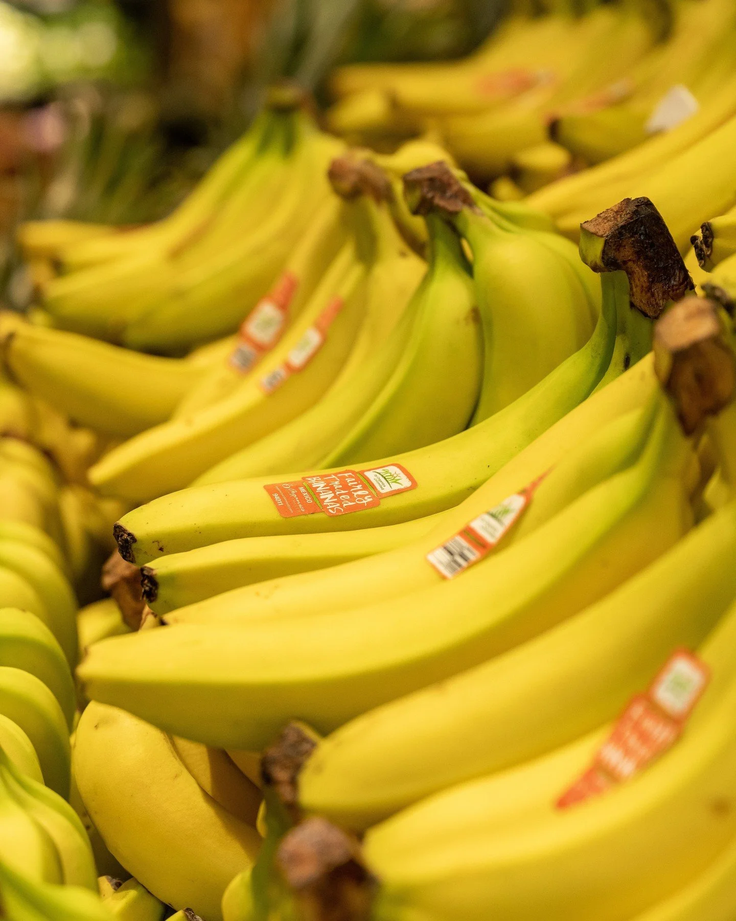 Everyone&rsquo;s going bananas. 🍌 Perfect timing because September is GROW Month!​

GROW bananas deliver more than great organic fruit. Through @Organics.Unlimited&rsquo;s GROW program $0.60 from every case sold supports programs benefiting banana-g