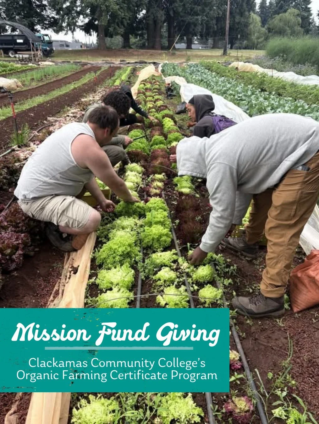 @cccorganicfarming was created in 2011, with Chris Konieczka stepping into the Lead Instructor role in 2013. In the time he&rsquo;s been there, they&rsquo;ve increased production space by 100%, created the farm stand, added the CSAs, built healthier 