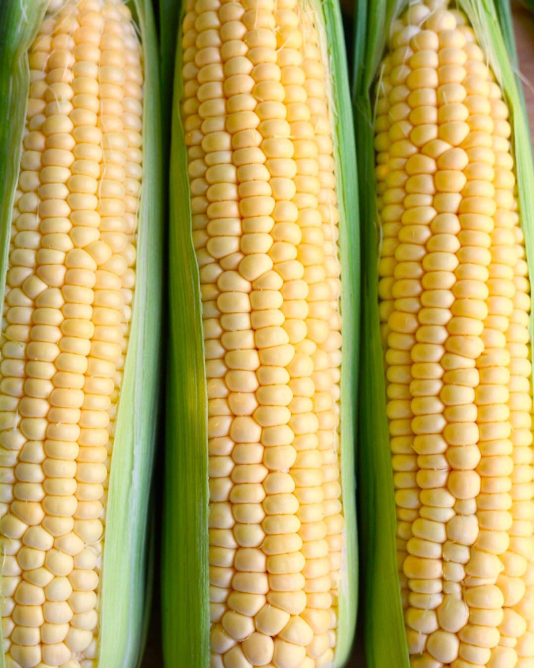 Psst! OGC's Peak Picks of the Week:

🌽 Crunchy, sugary, juicy organic corn from Northwest growers adds a tasty summer vibe to everything it touches. With corn this sweet, eaters will be coming back for more, so support Northwest family farms by buil
