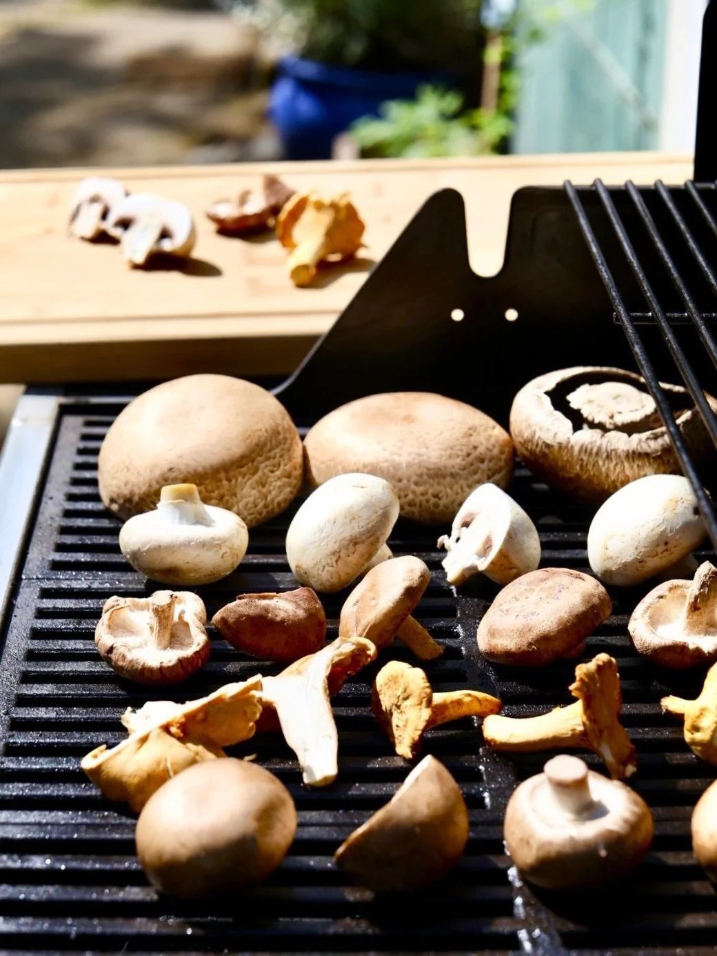 🔥 Fire up summer sales with grill-ready mushrooms!

Weekend BBQs, backyard gatherings and easy outdoor dinners give shoppers plenty of reasons to keep firing up the grill, and fresh mushrooms deserve a spot on the grate. In fact, 52% of grillers put