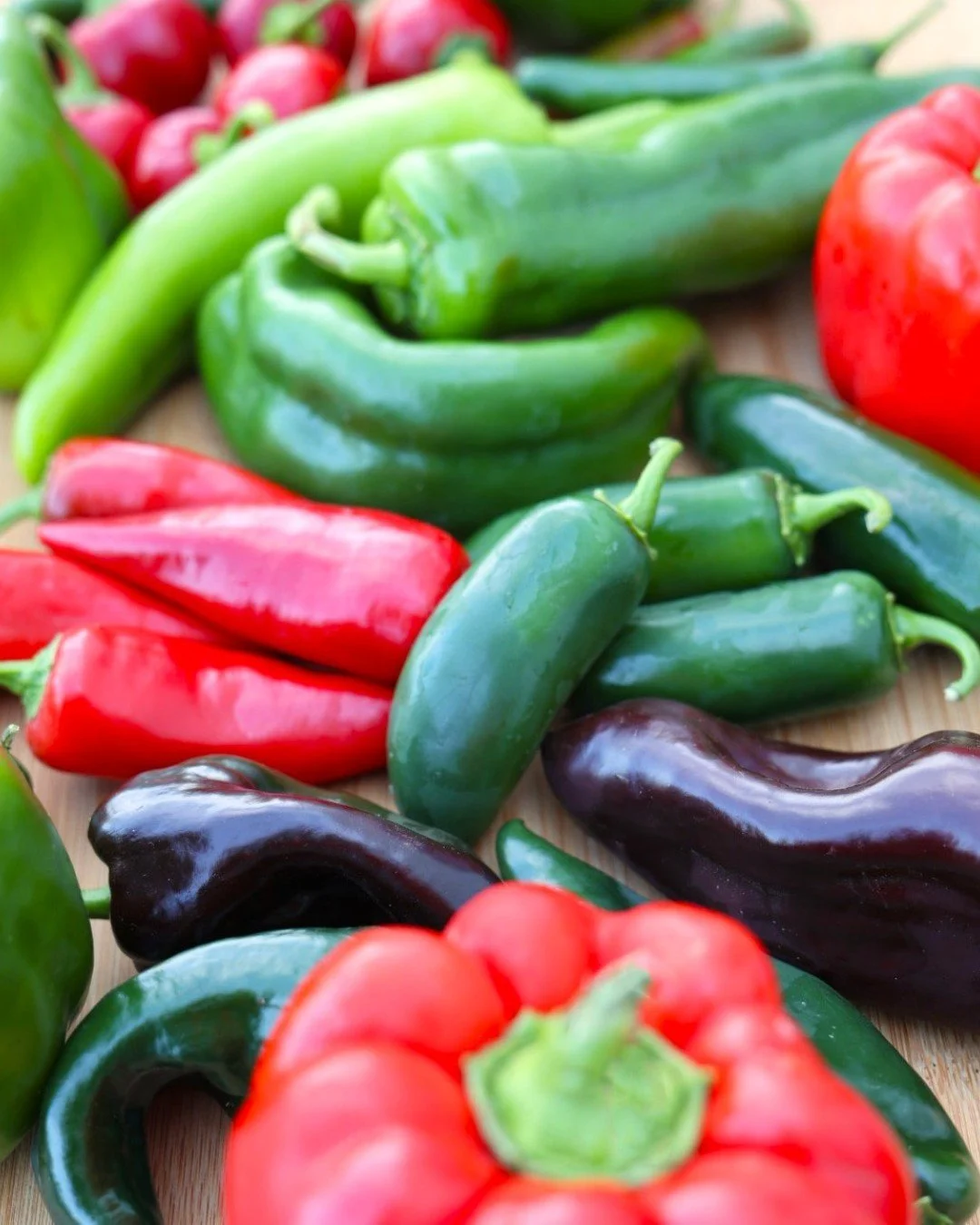 Have you seen a more colorful OGC Peak Picks of the Week?

🌶️ Now&rsquo;s the time to crank up the Scoville Scale in your produce department! Organic Anaheim, Cherry Bomb, Red Fresno, Habanero, Jalapeno, NuMex, Poblano and Serrano from Northwest gro