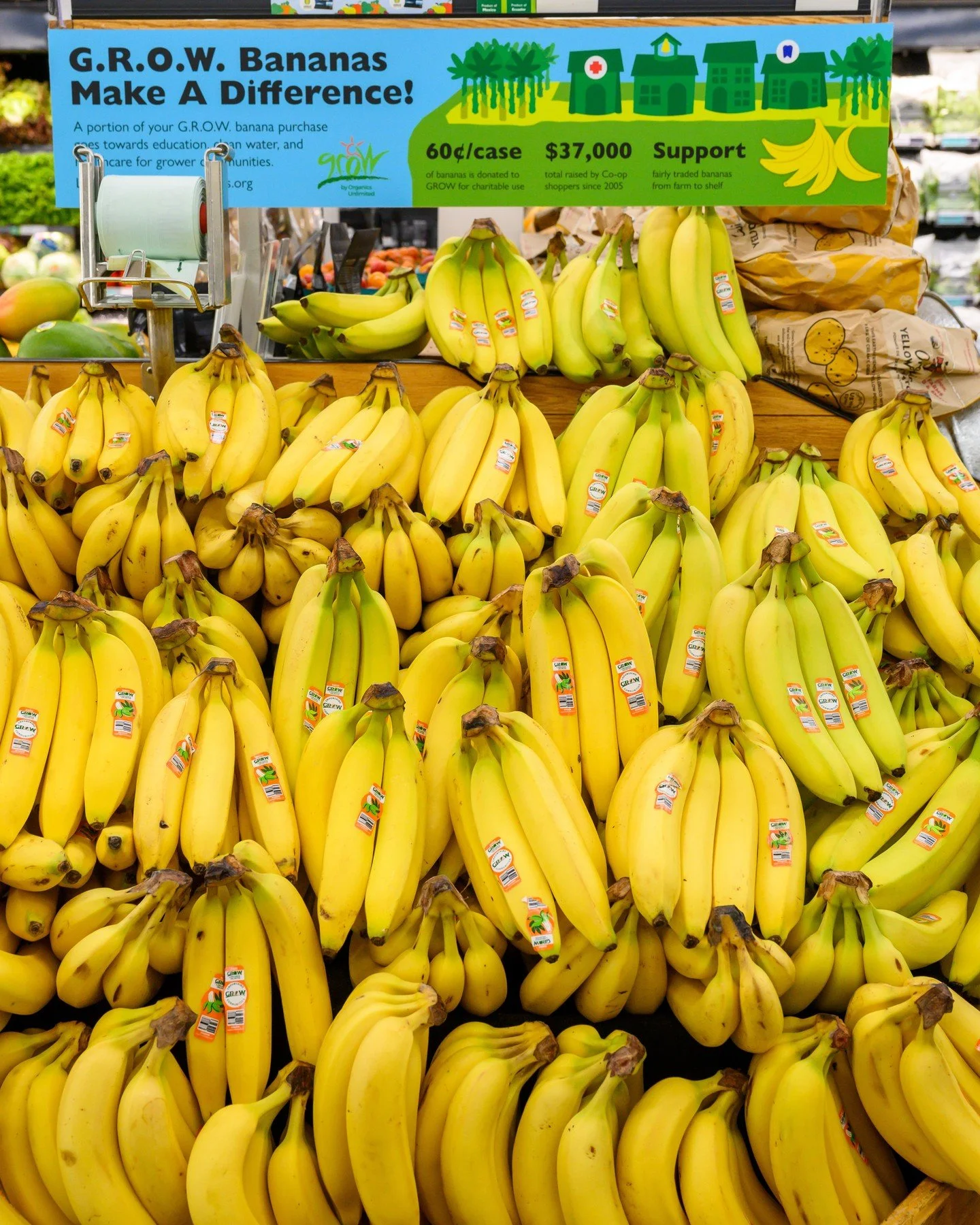 September is GROW month!

GROW stands for Giving Resources and Opportunities to Workers, a program created by @Organics.Unlimited to support the communities where its fruit is grown. Every case of organic GROW bananas contributes $0.60 to the program