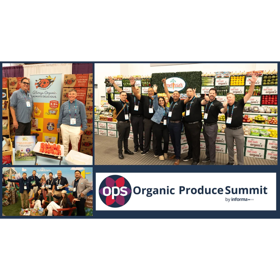 OPS Awards winners recognized for innovation, sustainability