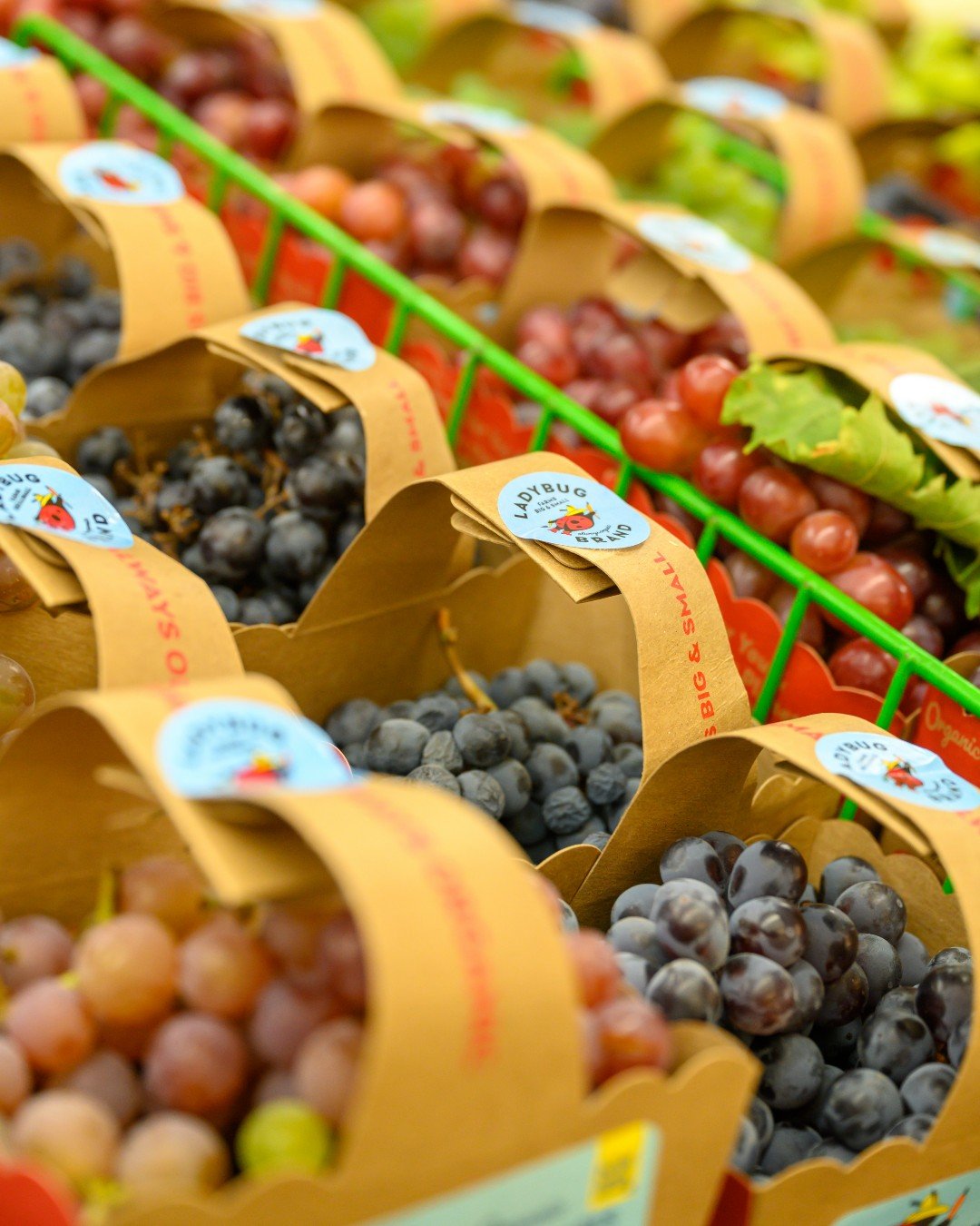 Easy to grab, pack and snack? Produce understands the assignment.

September means packed lunches, after-school hunger and the daily scramble for something quick everyone will actually eat. With more than half of shoppers looking for healthier choice